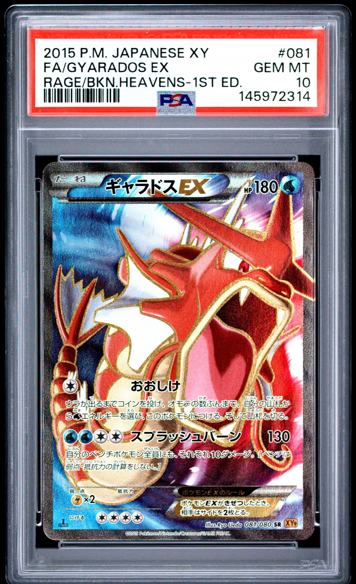 PSA10】ギャラドスEX SR :1ED [XY9 081/080](拡張パック「破天の怒り