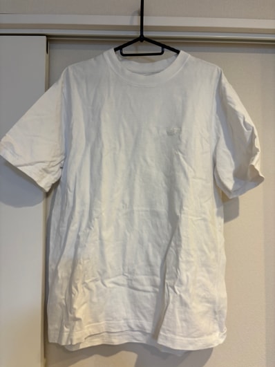 STUSSY Tシャツ