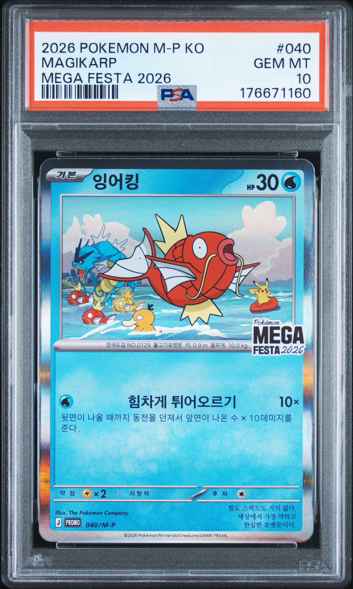 コイキング プロモ [040/M-P]【韓国語版】(プロモーションカード「ポケモン メガフェスタ2026 プロモカードパック」)