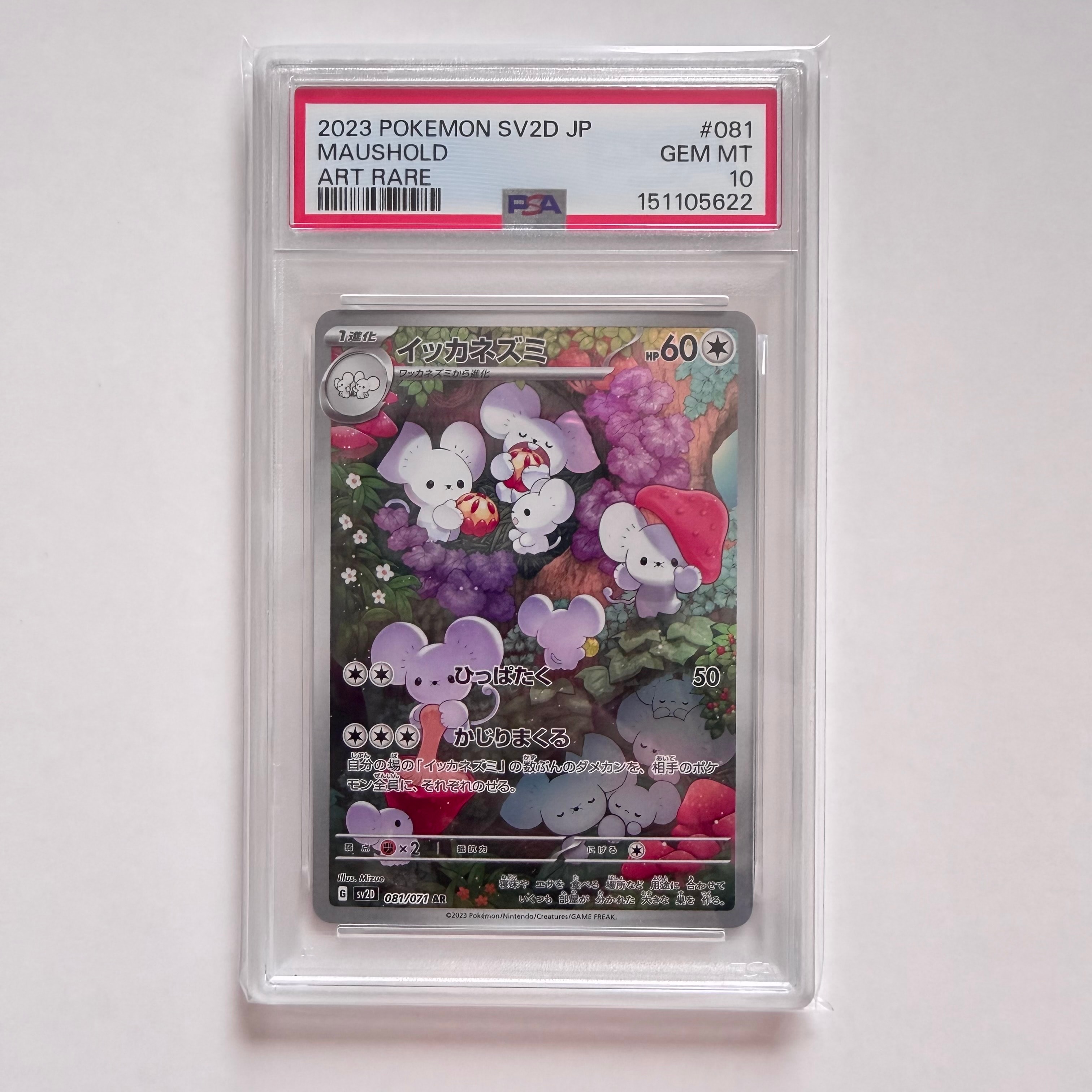 イッカネズミ AR[SV2D 081/071](拡張パック「クレイバースト」)の新品