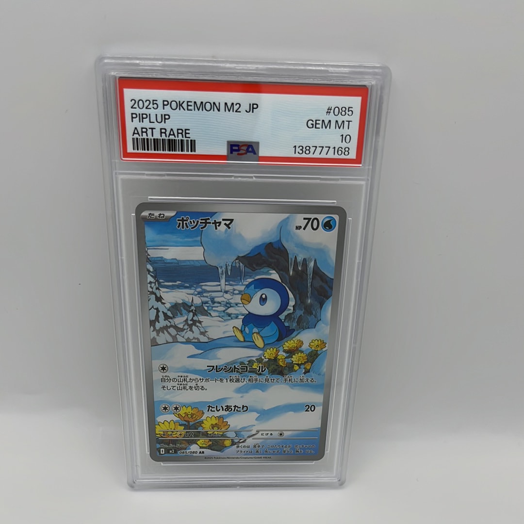 【PSA10】ヒカリ SAR ポッチャマ　AR インフェルノX 2枚セット ポケモンカード インフェルノX ポッチャマ AR ヒカリ SAR セット