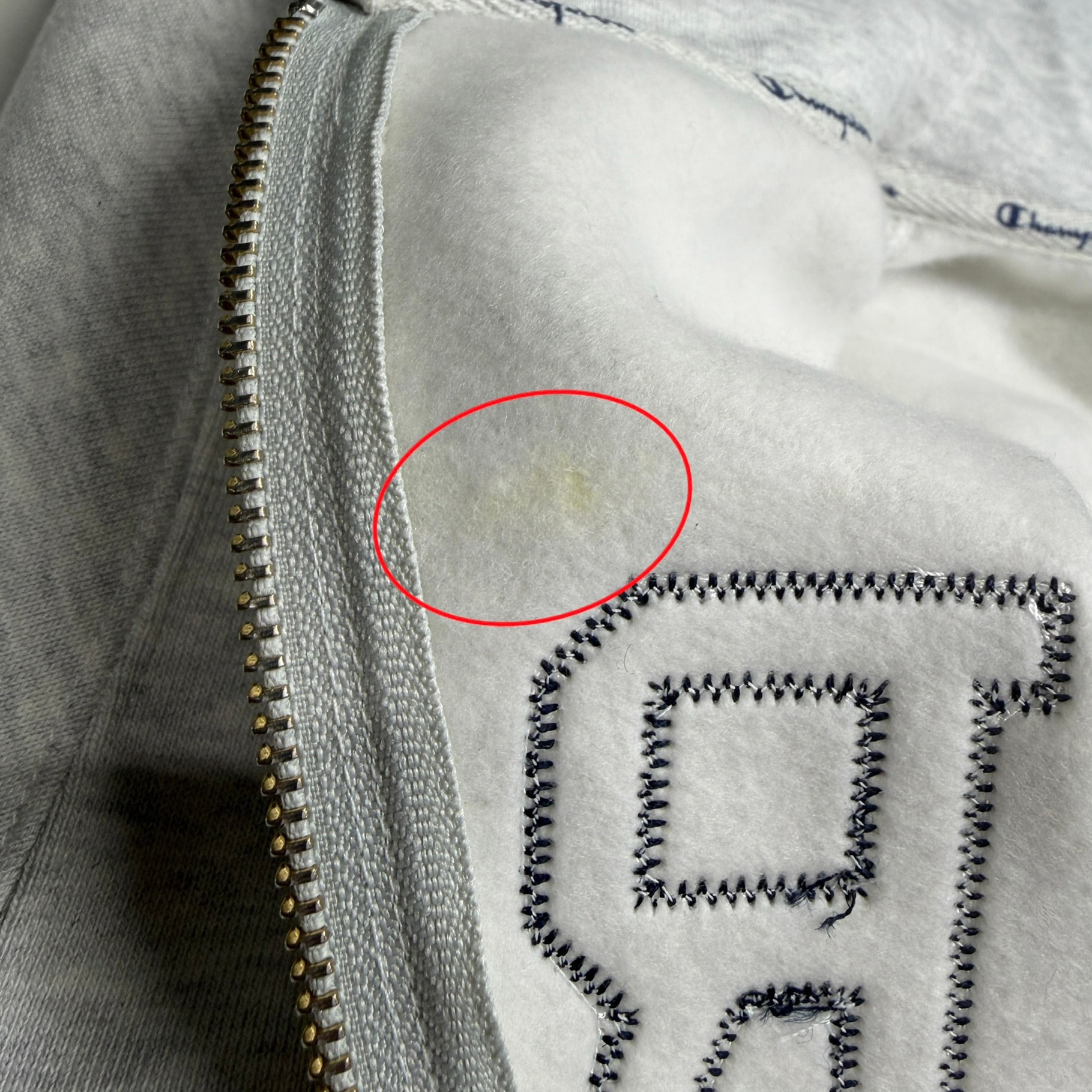 Supreme x Champion Zip Up Hooded Sweatshirt "Ash Grey"