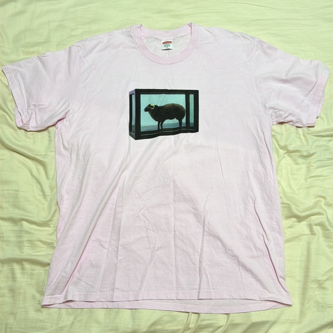 Supreme Damien Hirst Tee "Pink"
