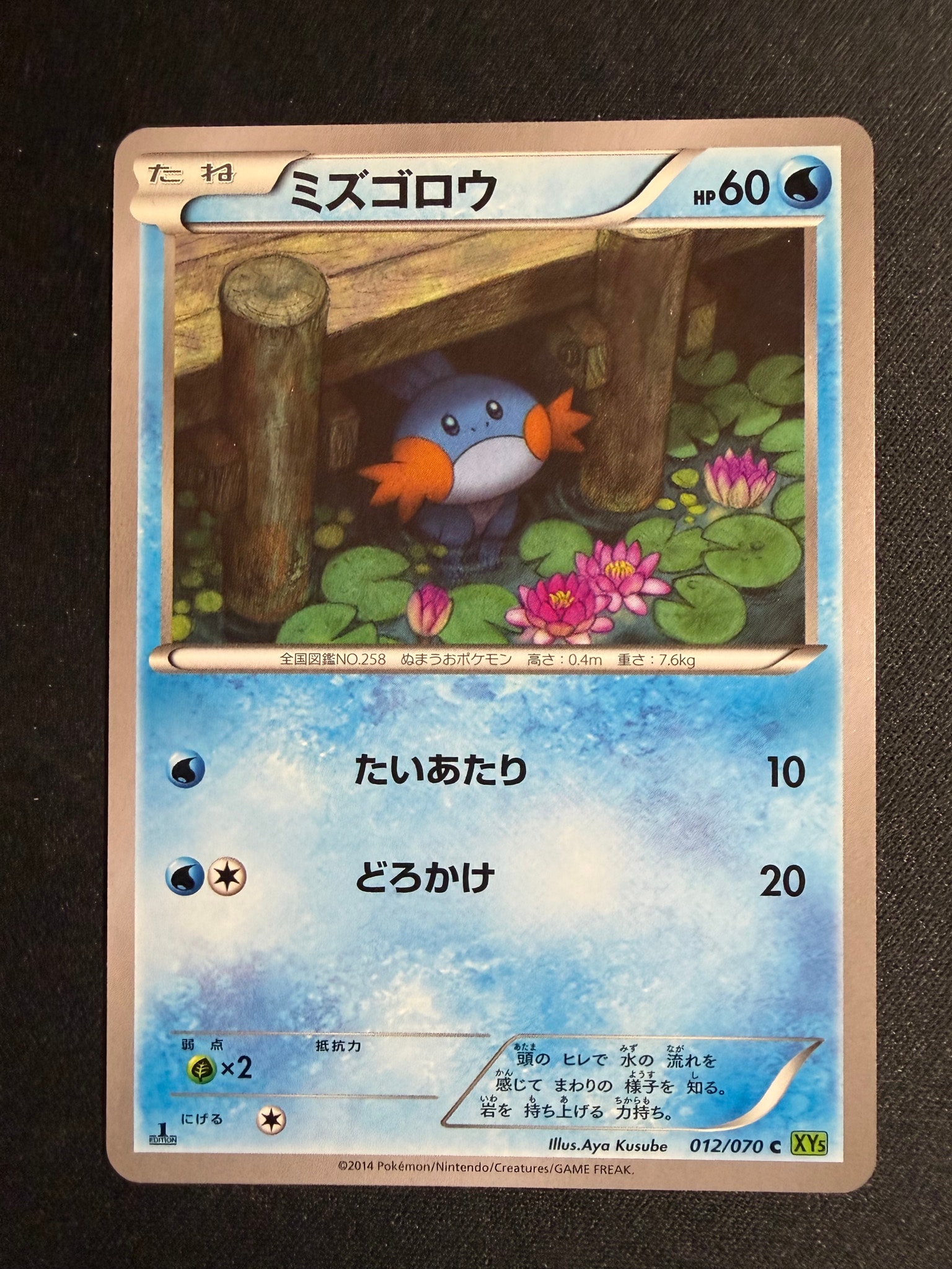 ミズゴロウ C :1ED [XY5 012/070](拡張パック「タイダルストーム