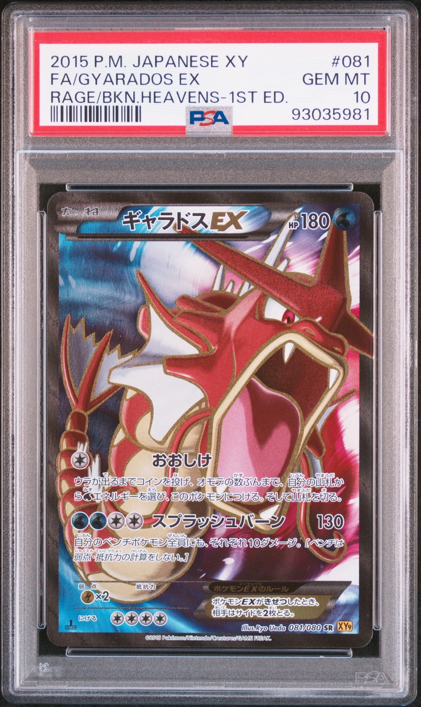 ギャラドスEX SR :1ED [XY9 081/080](拡張パック「破天の怒り」)の新品