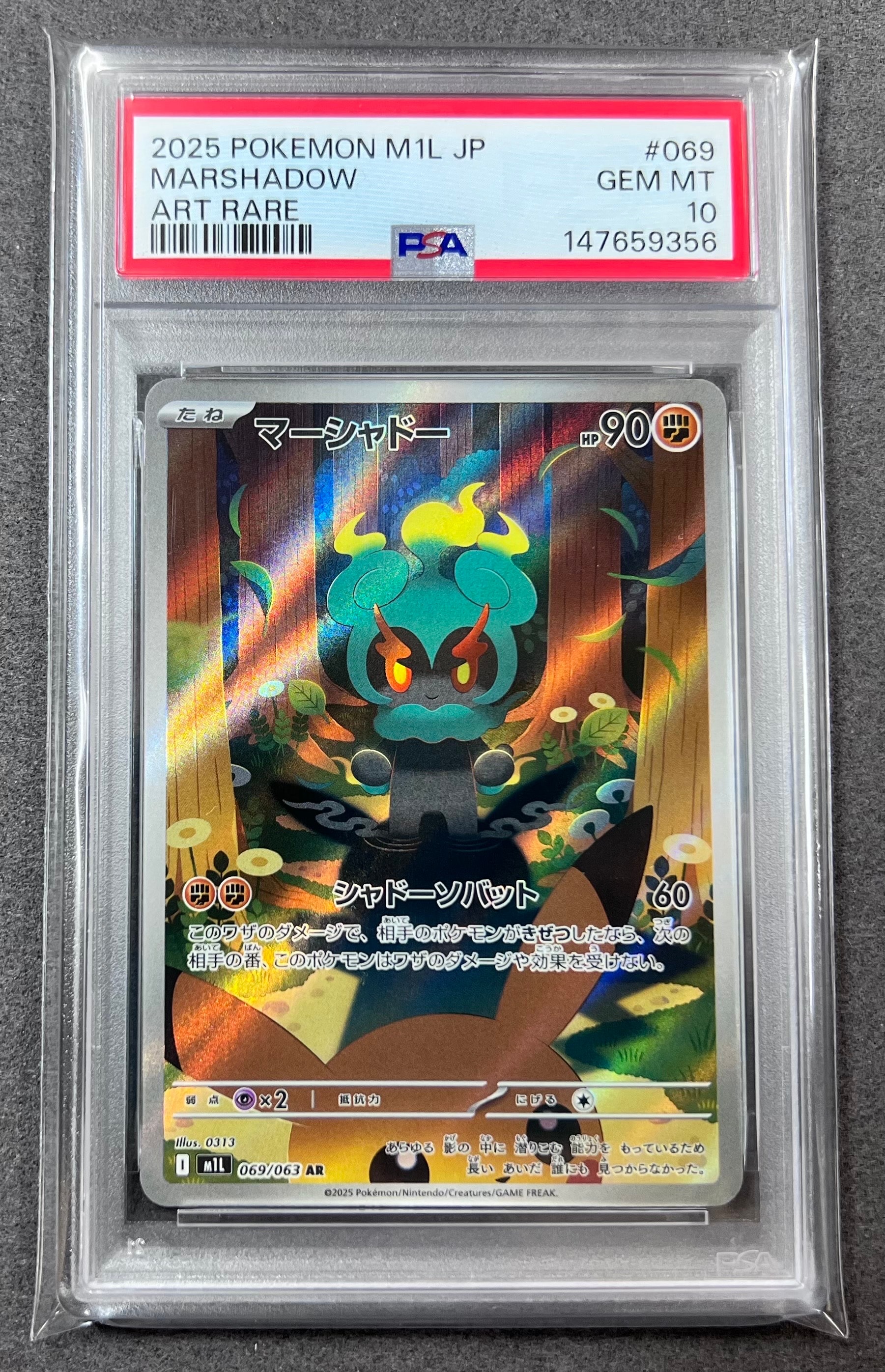 アローラの仲間たち: プロモ[SM-P 401]ポケモンカードPSA10 PSA10】アローラの仲間たち(401/SM-P)[SR仕様]【PROMO】｜PSA鑑定済み
