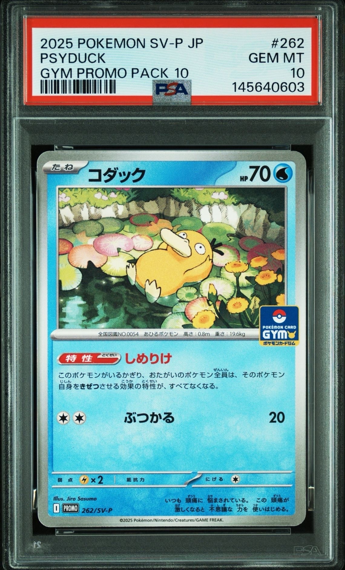 コダック P [SV-P 262](プロモカードパック「第10弾」)