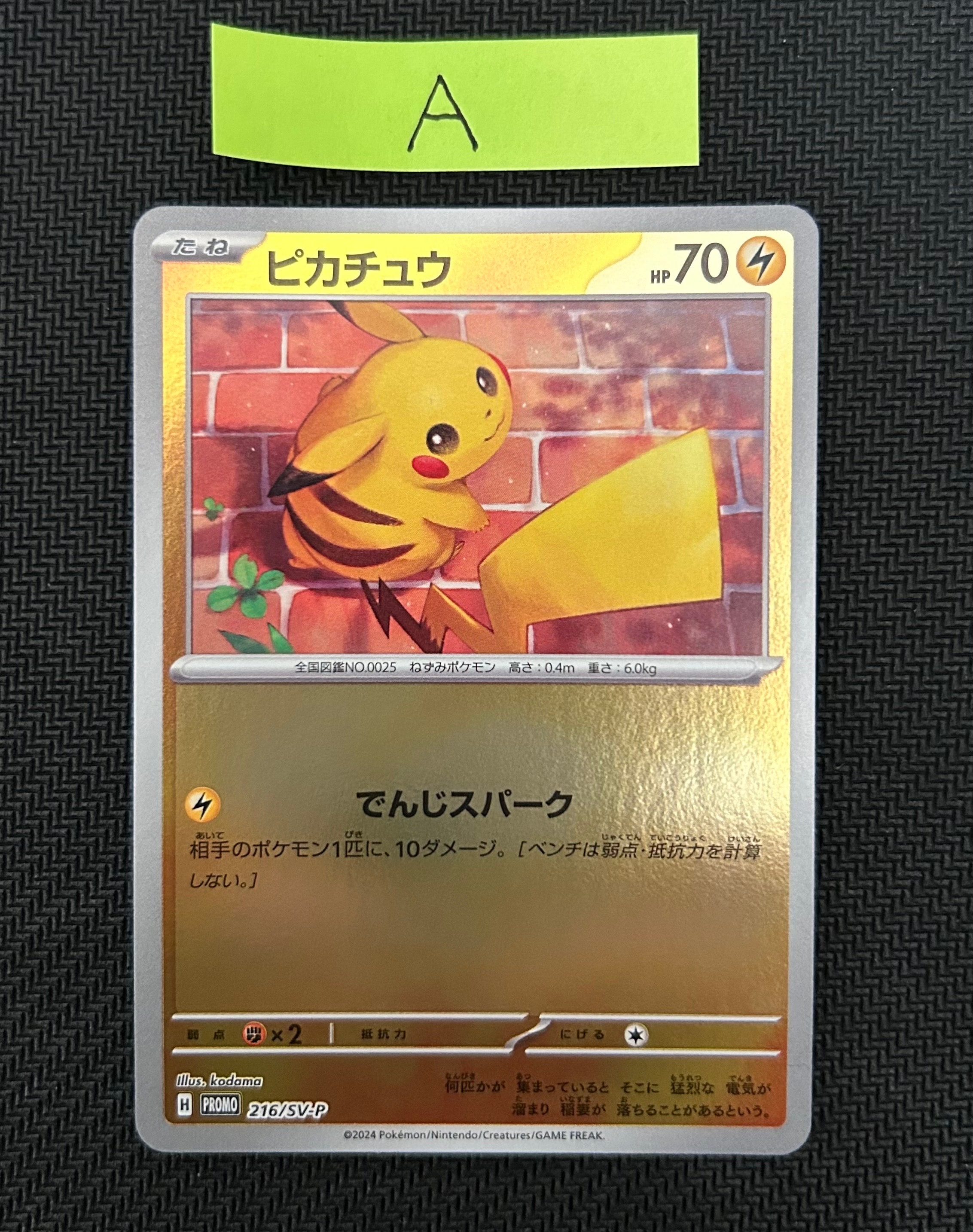 PSA10】ピカチュウ P [SV-P 216](プロモカードパック「ポケカの夏が