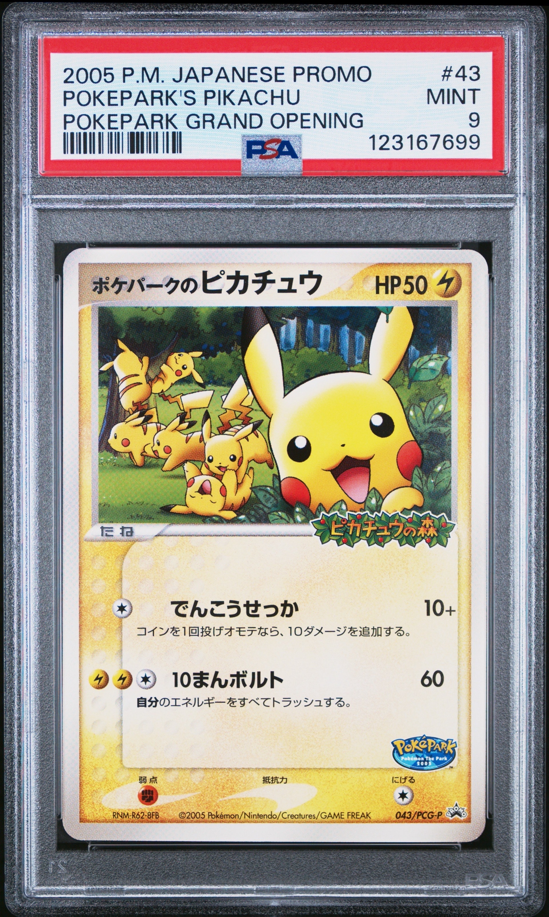 ポケパークのピカチュウ P [PCG-P 043](プロモーションカード「ポケパーク ルギアのくるくるシップ」)