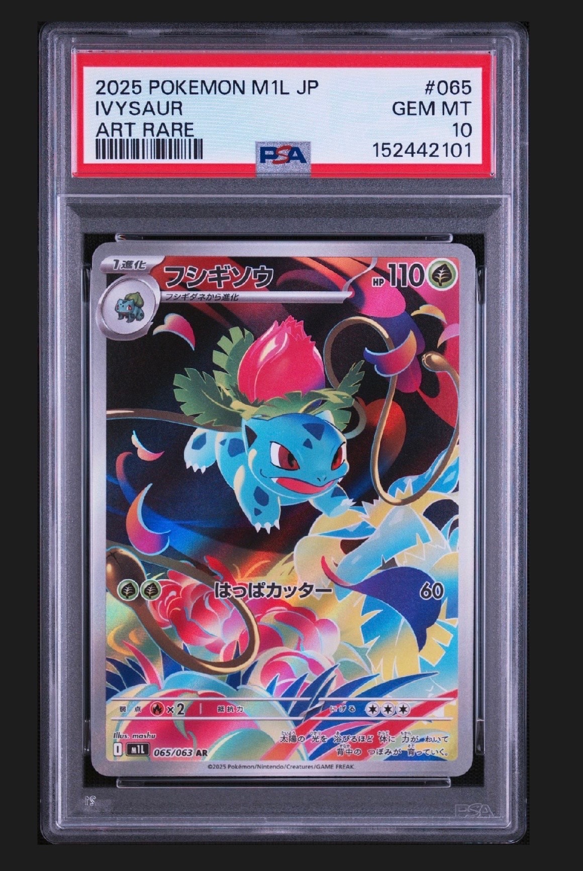 フシギソウ AR [M1L 065/063](拡張パック「メガブレイブ」)通販・買取