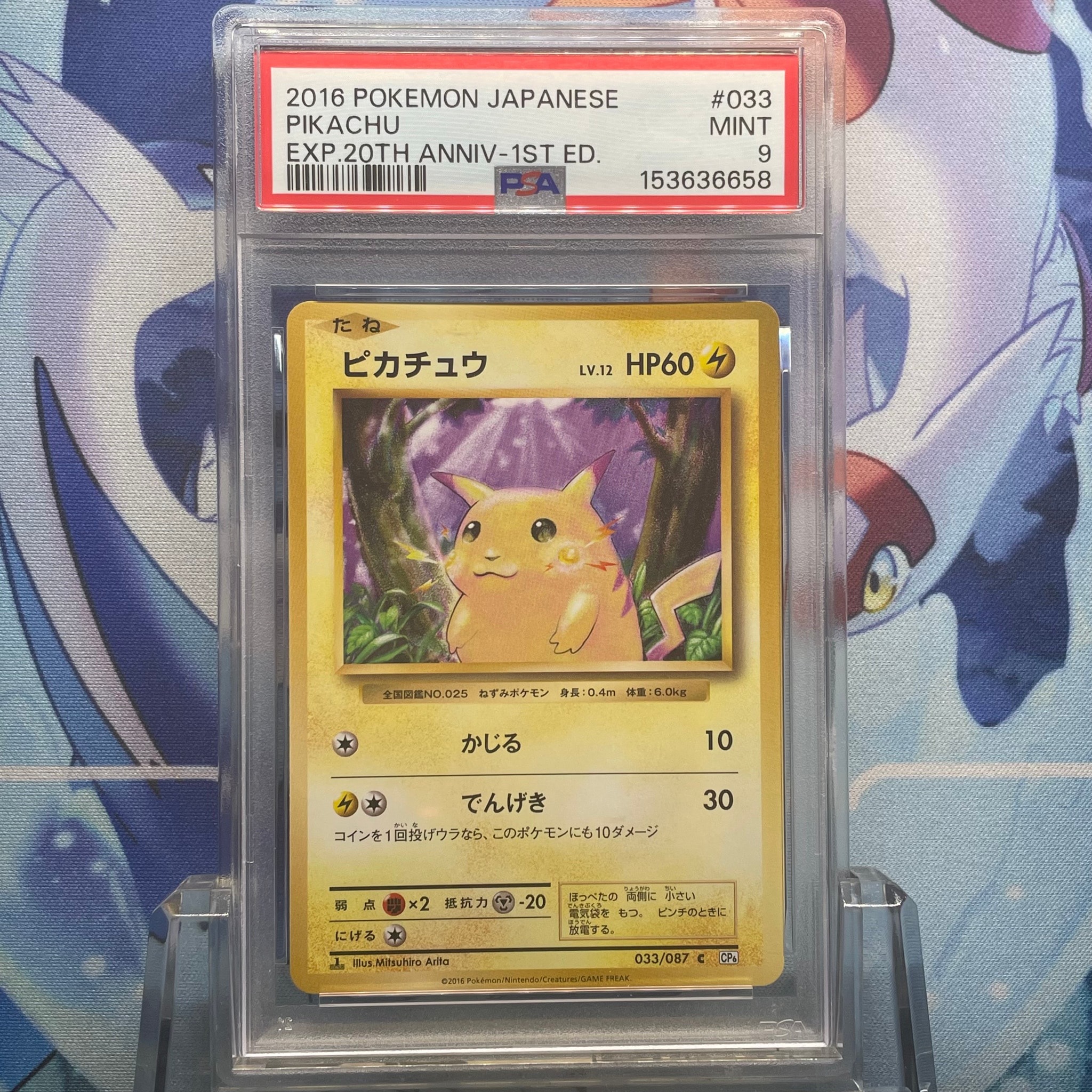 ピカチュウ C :1ED [CP6 033/087](コンセプトパック「ポケットモンスターカードゲーム 拡張パック 20th Anniversary」)