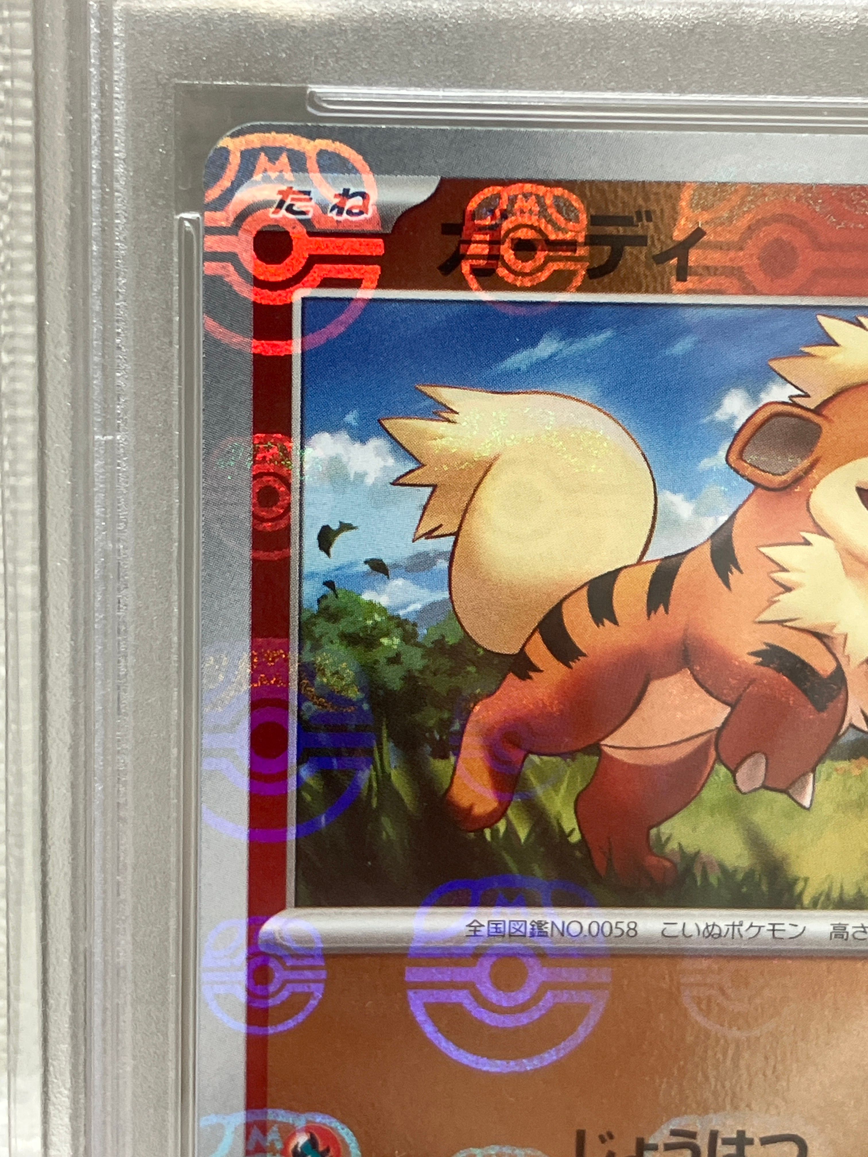 pokemon premium collection garchomp ex trading cards Sealed Case Cynthia's Garchomp ex Premium Collection Box