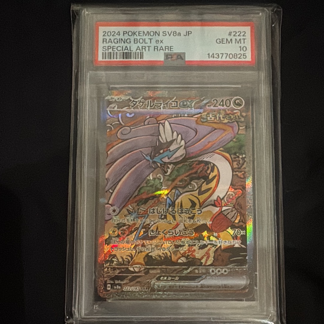 タケルライコex SAR [SV8a 222/187](ハイクラスパック「テラスタル