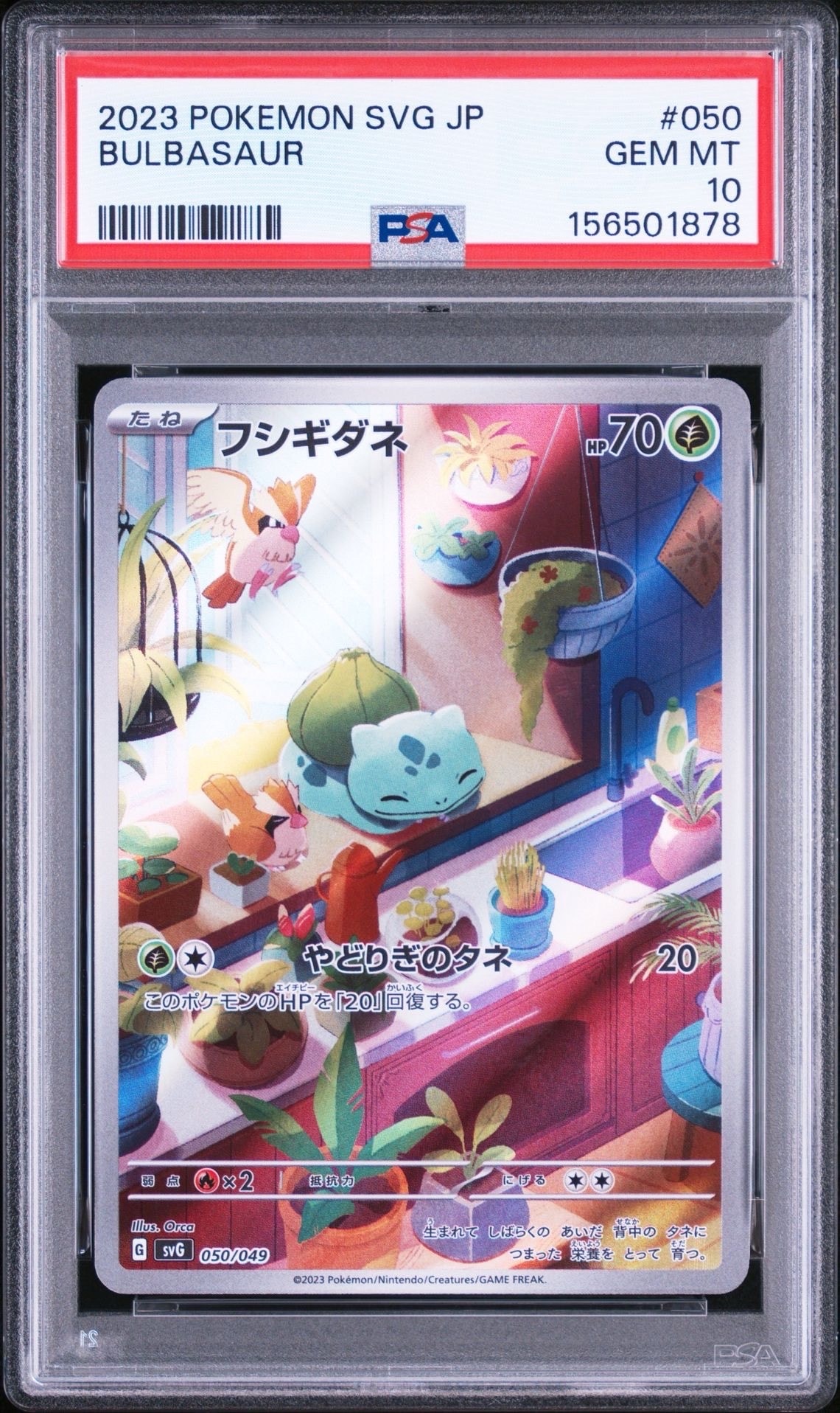 フシギダネ :フルイラスト [SVG 050/049](スペシャルデッキセットex「フシギバナ・リザードン・カメックス」)