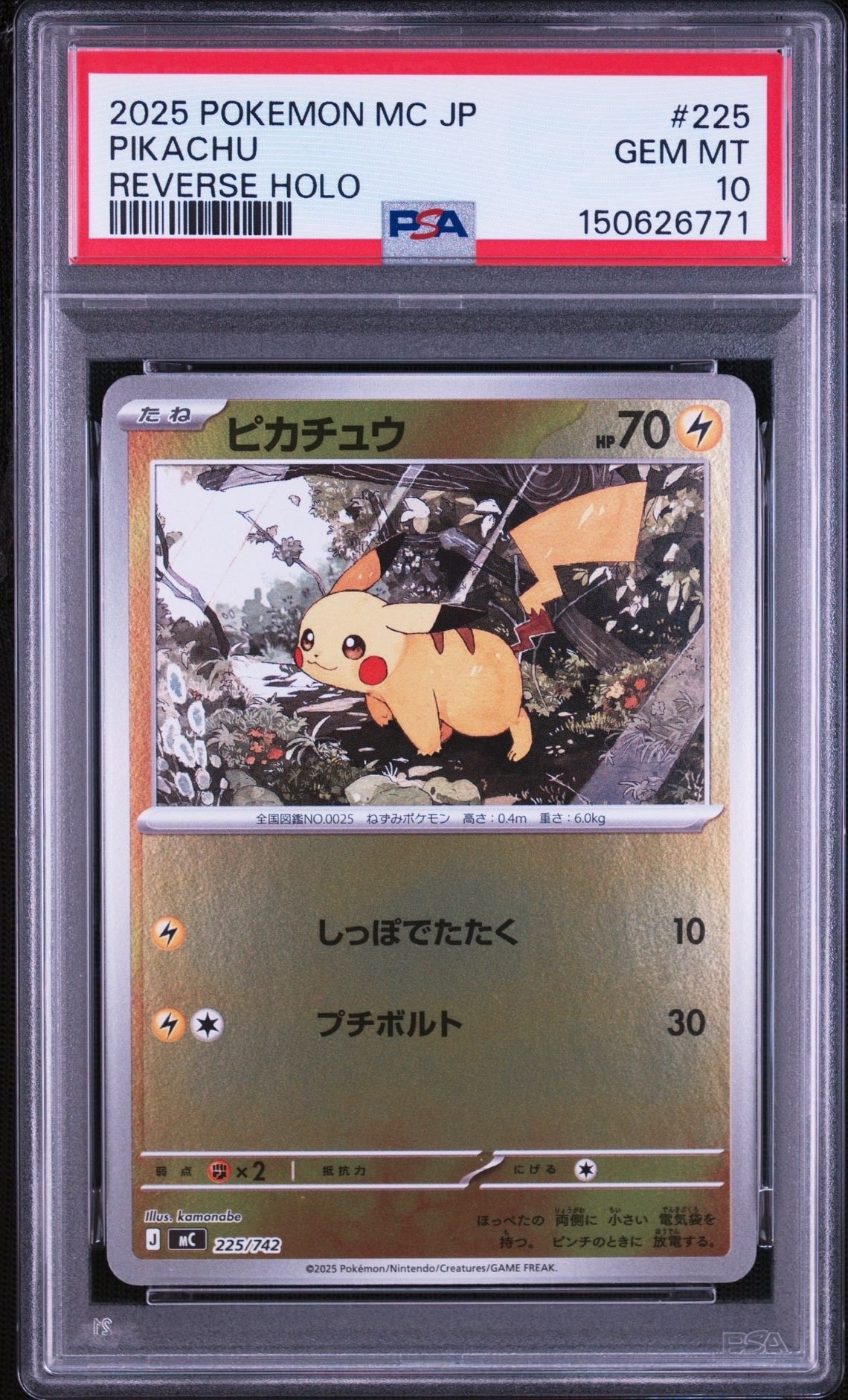 トウホクのピカチュウ P [SV-P 260](スペシャルBOX「ポケモンセンター