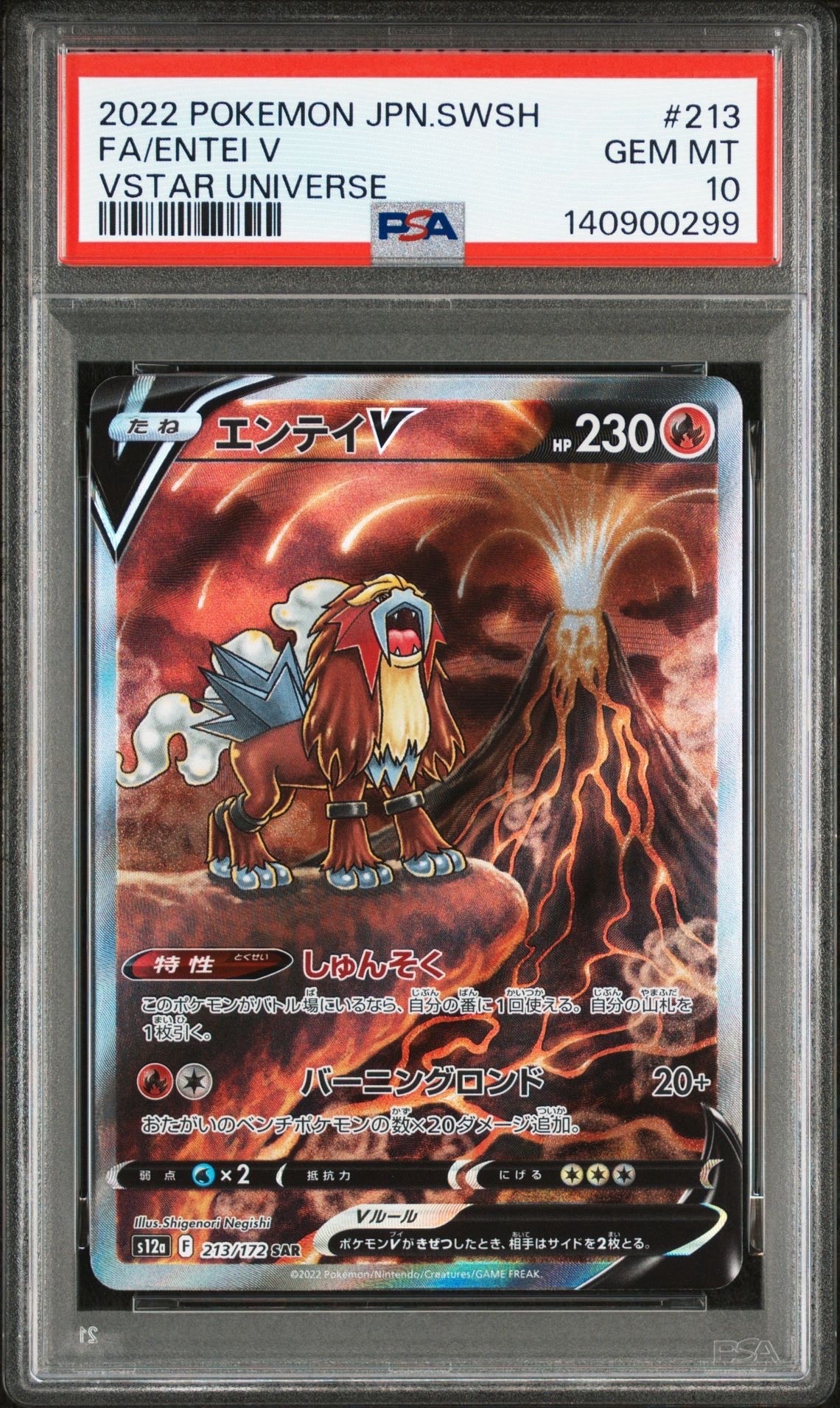 エンテイV SAR[s12a 213/172](ハイクラスパック「VSTARユニバース」)