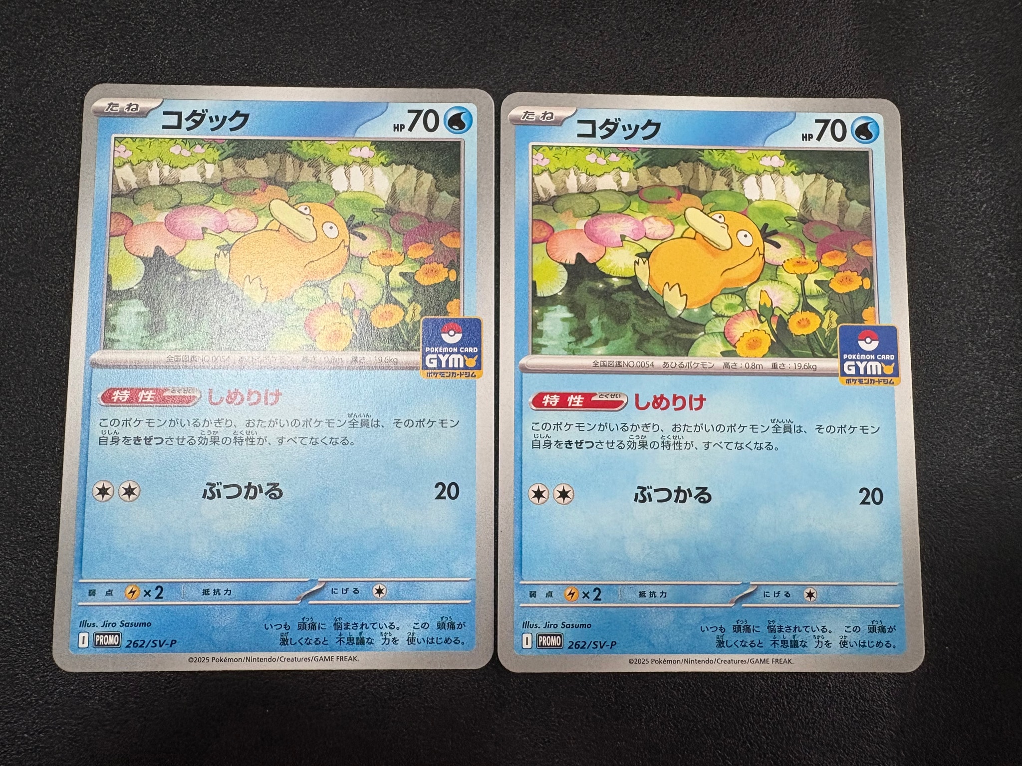 コダック P [SV-P 262](プロモカードパック「第10弾」)通販・買取