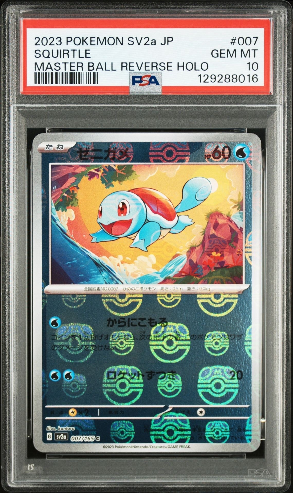 ゼニガメ C: マスターボールミラー[SV2a 007/165](強化拡張パック「ポケモンカード151」)