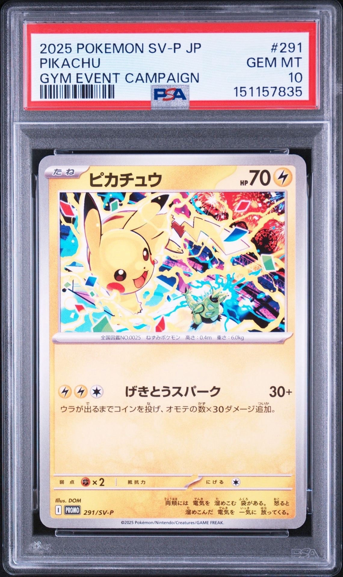 スカル団ごっこピカチュウ: プロモ[SM-P 013](スペシャルBOX「団員