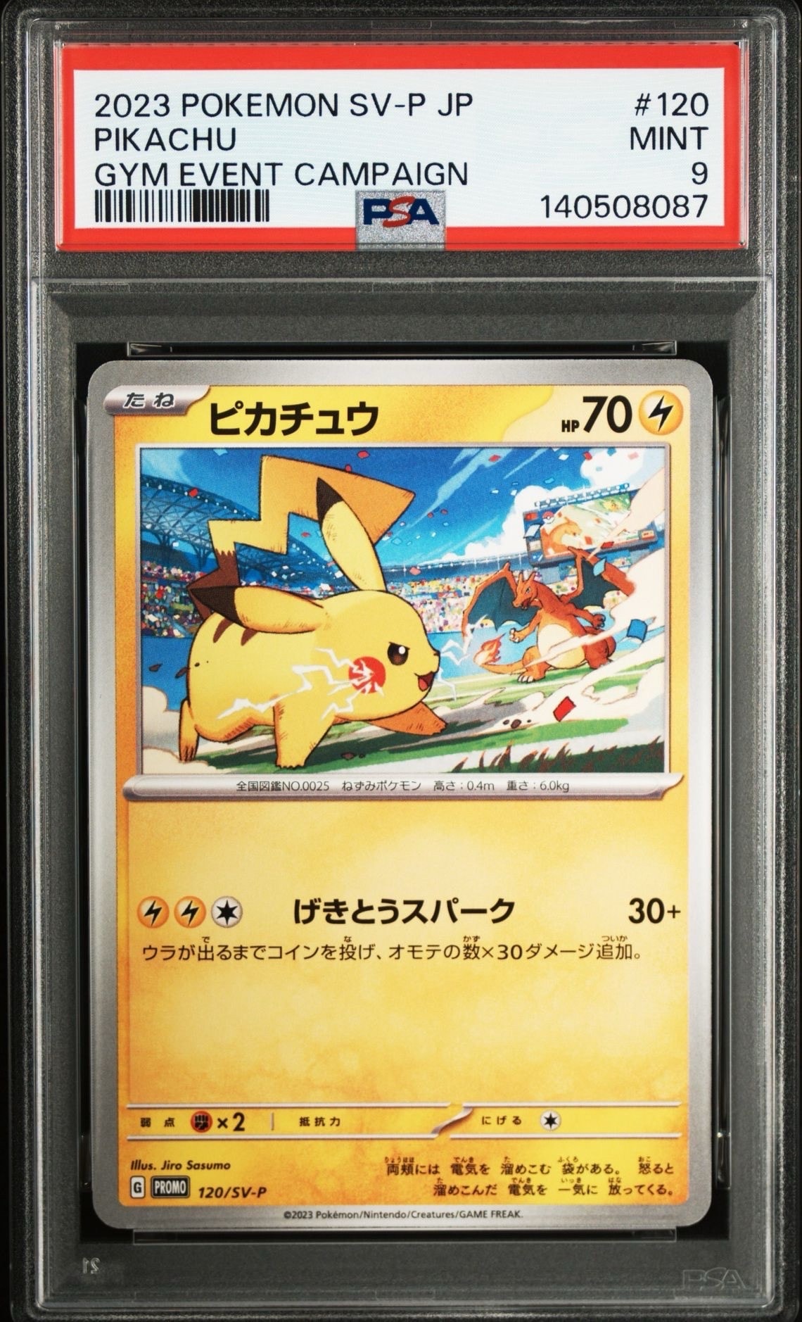 ピカチュウ: プロモ [SV-P 120](プロモーションカード「SV-P」)