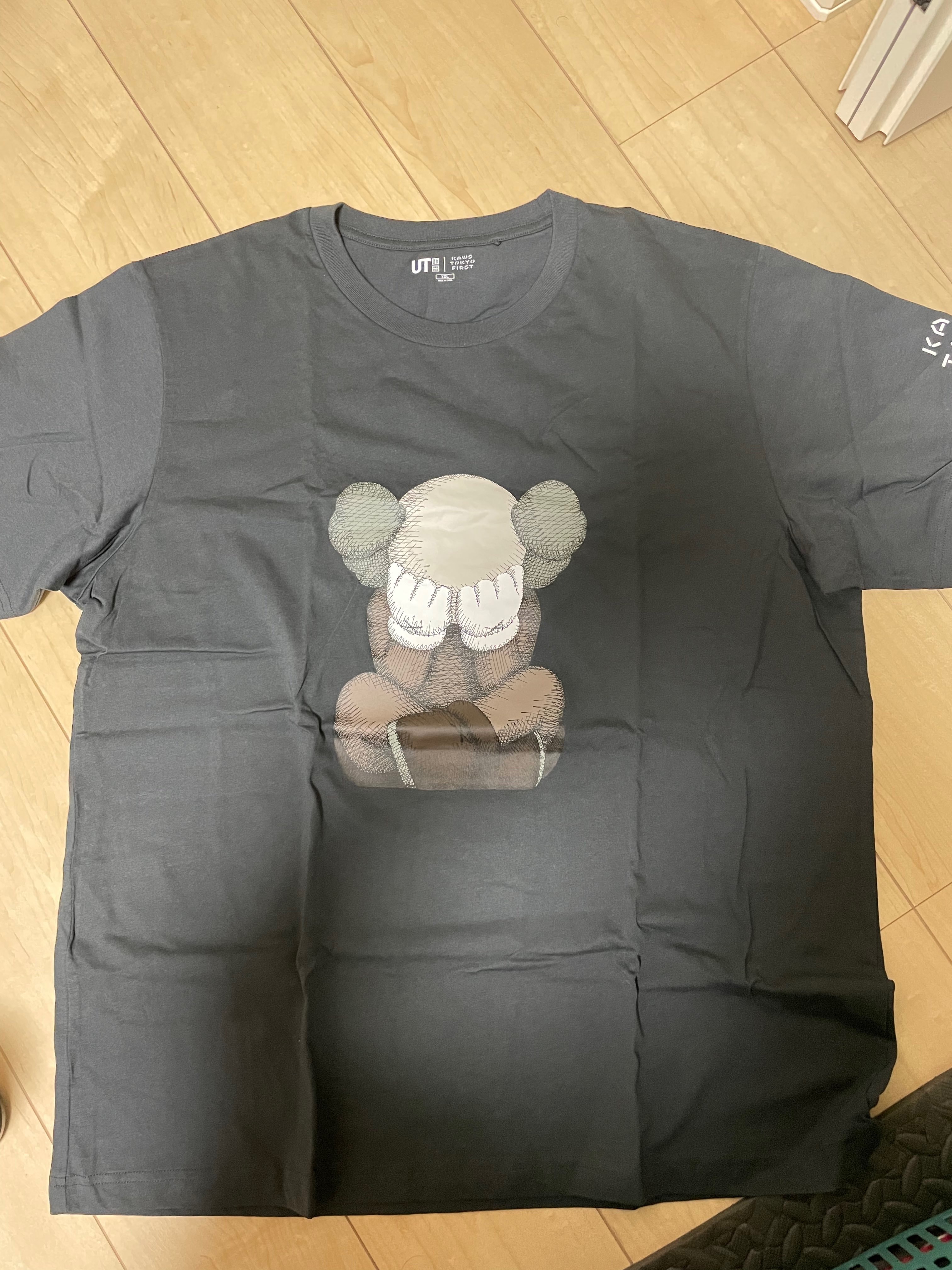 Kaws UT Graphic Tee "Dark Gray"
