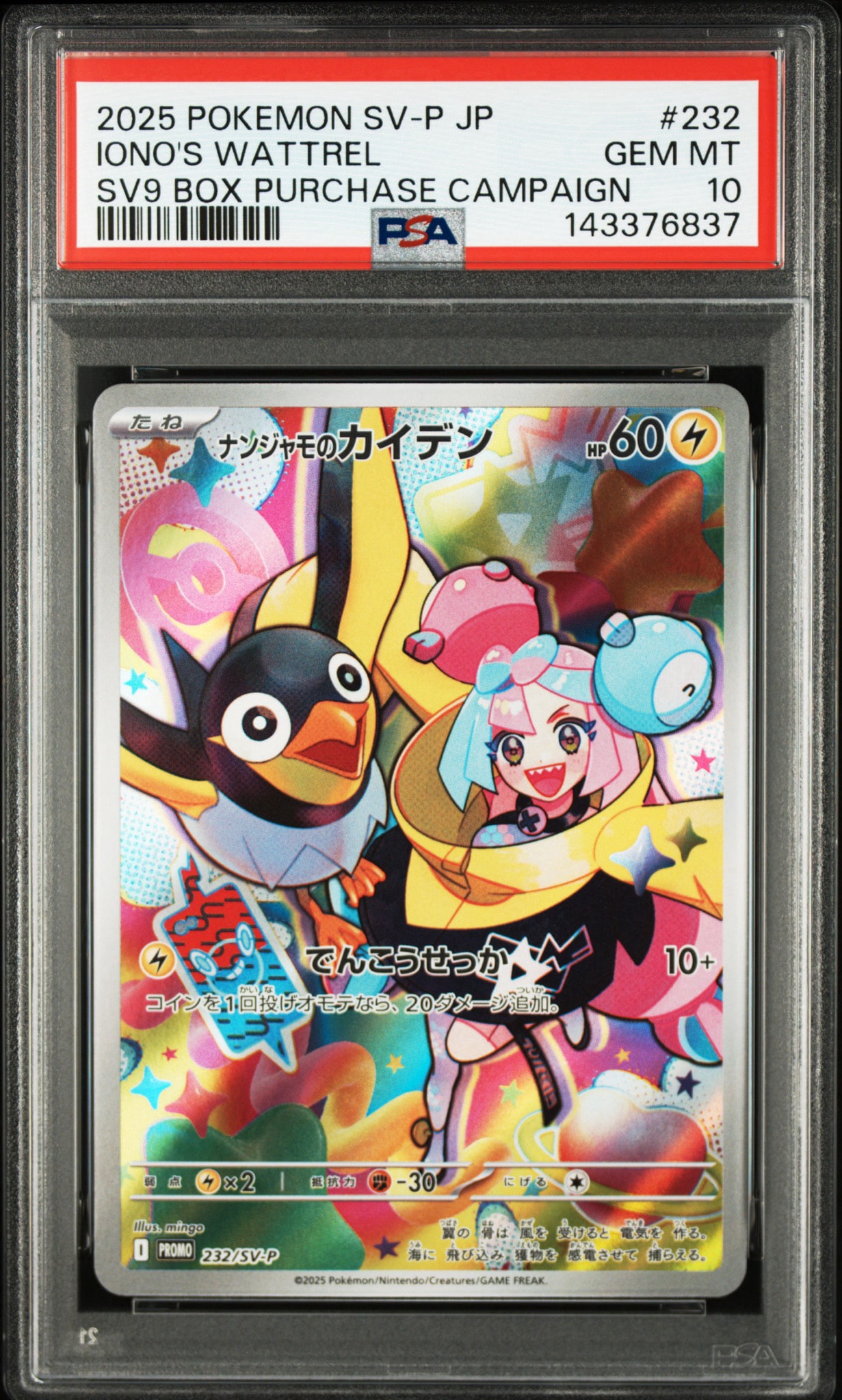ナンジャモのカイデン P [SV-P 232](プロモーションカード「拡張パック