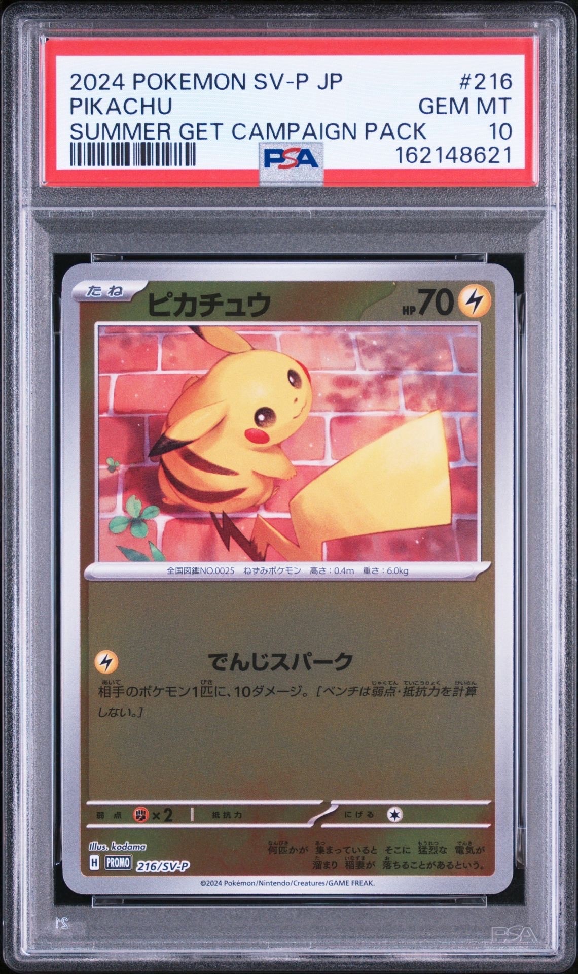 PSA10】ピカチュウ P [SV-P 216](プロモカードパック「ポケカの夏が