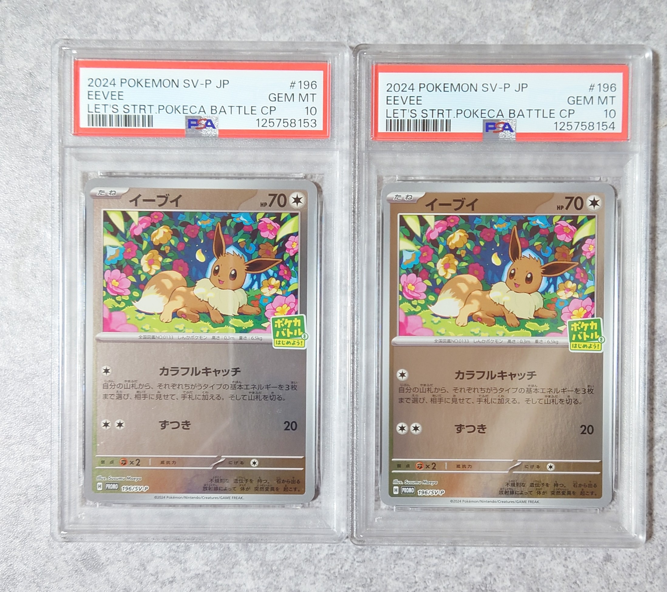 イーブイ P [SV-P-SM 196](プロモカードパック「ポケカバトルをはじめよう!キャンペーン」)