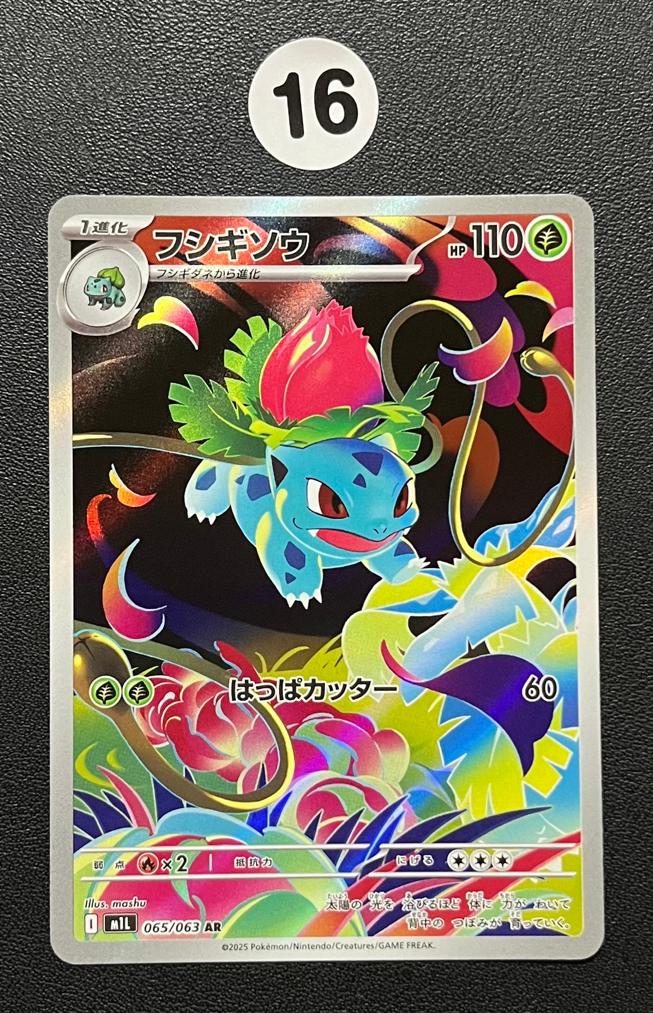 フシギソウ AR [M1L 065/063](拡張パック「メガブレイブ」)
