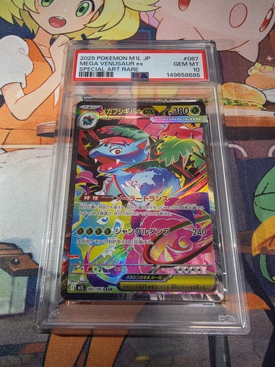 PSA10】ブラッキープレミアムファイル2: 旧裏[neoP2 No.197 PSA10】ブラッキープレミアムファイル2: 旧裏[neoP2 No.197