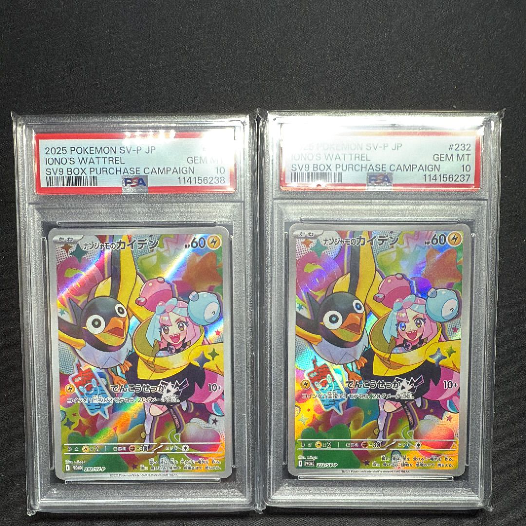 ナンジャモのカイデン P [SV-P 232](プロモーションカード「拡張パック バトルパートナーズ Box購入キャンペーン」)