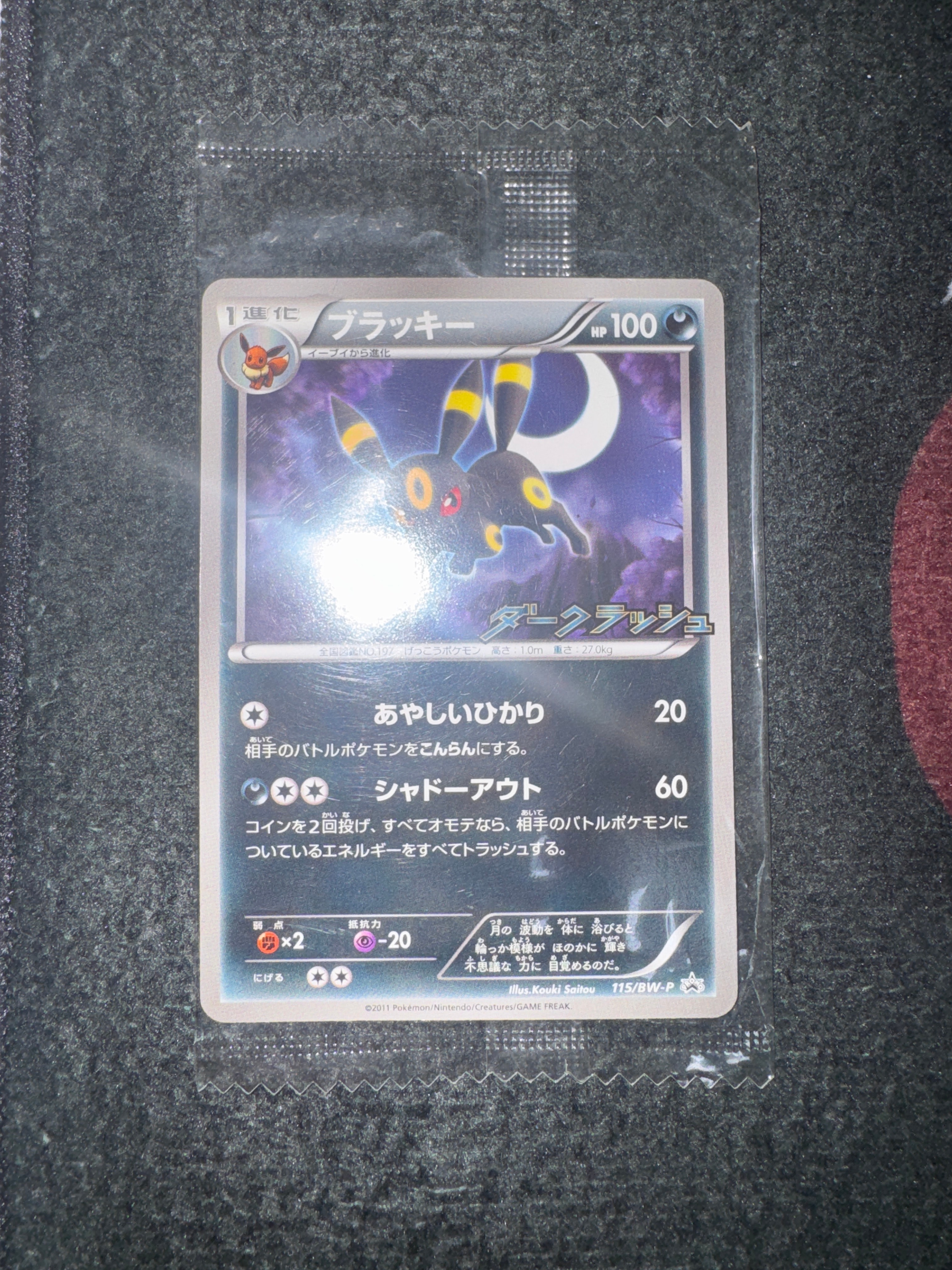 PSA10】ブラッキー P [BW-P 115/BW-P](プロモーションカード「ダーク