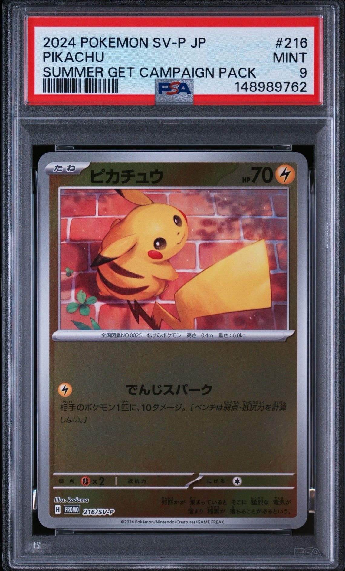 ピカチュウ P [SV-P 216](プロモカードパック「ポケカの夏がキタ