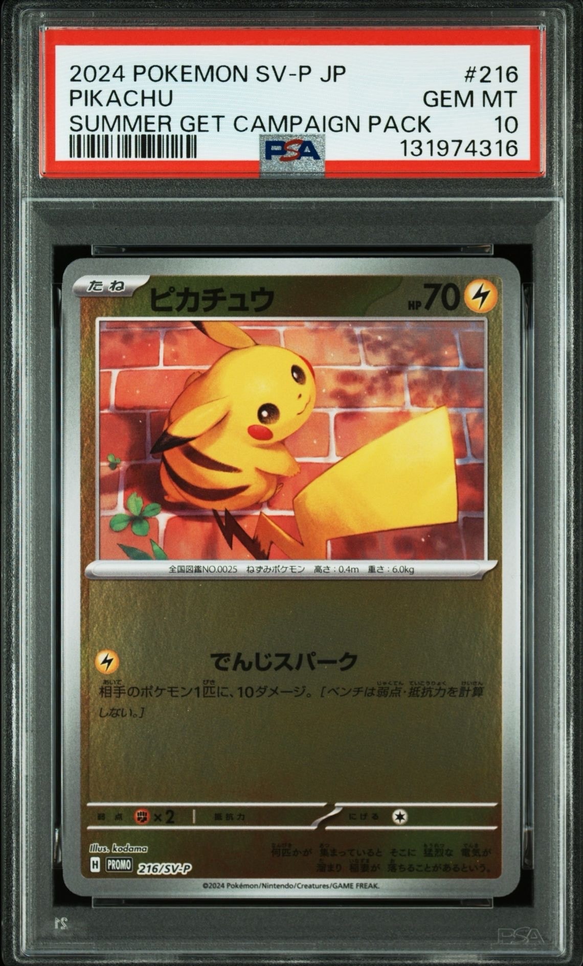 ピカチュウ P [SV-P 216](プロモカードパック「ポケカの夏がキタ!プロモカードGetキャンペーン!」)