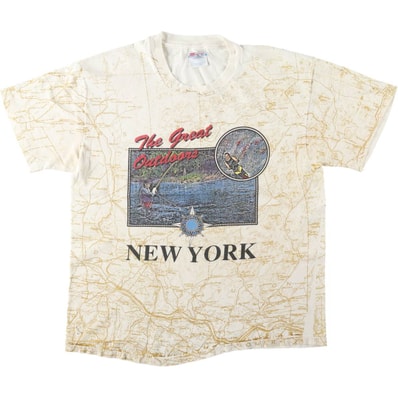 古着 90年代 ヘインズ Hanes BEEFY-T オールオーバープリント プリントTシャツ USA製 メンズL相当/eaa644579