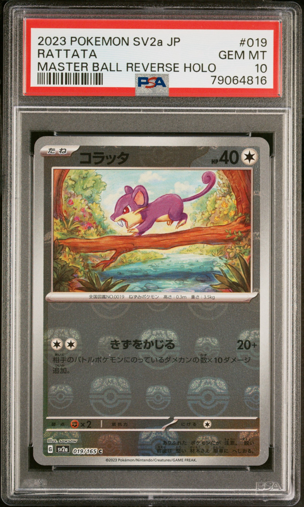 コラッタ C: マスターボールミラー[SV2a 019/165](強化拡張パック