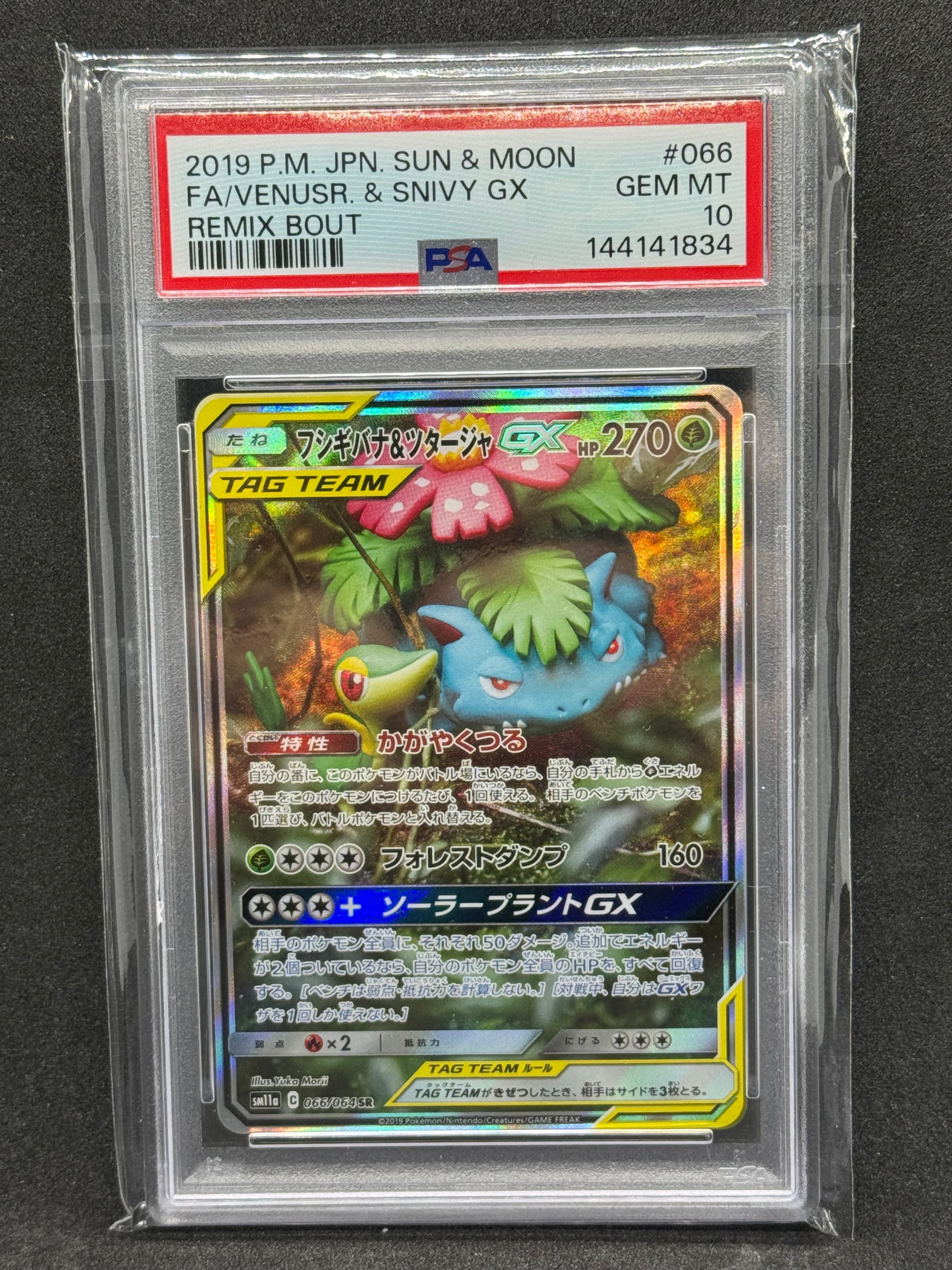 フシギバナ&ツタージャGX SR: SA[SM11a 066/064](強化拡張パック