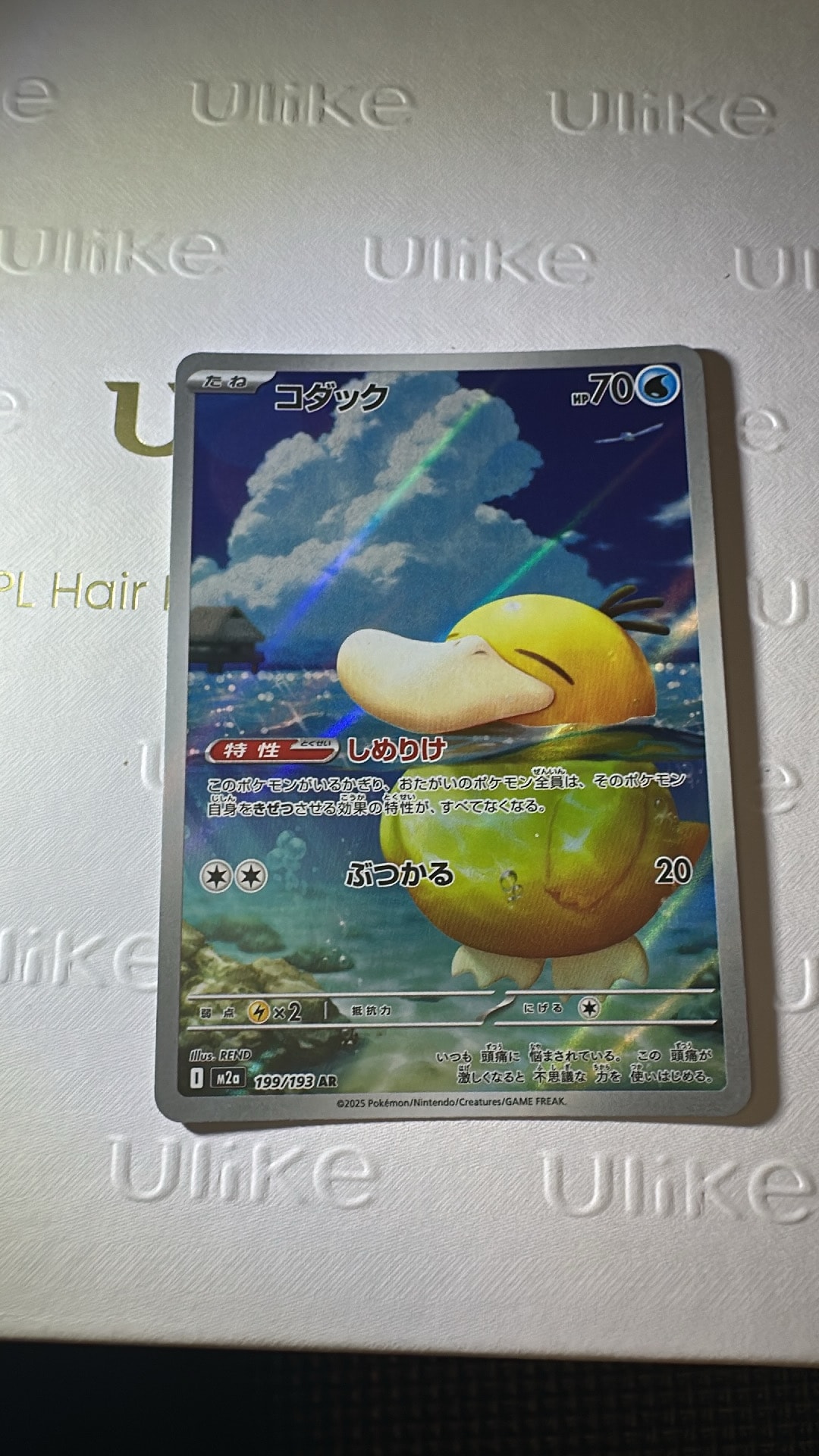 コダック AR [M2a 199/193](ハイクラスパック「MEGAドリームex」)通販