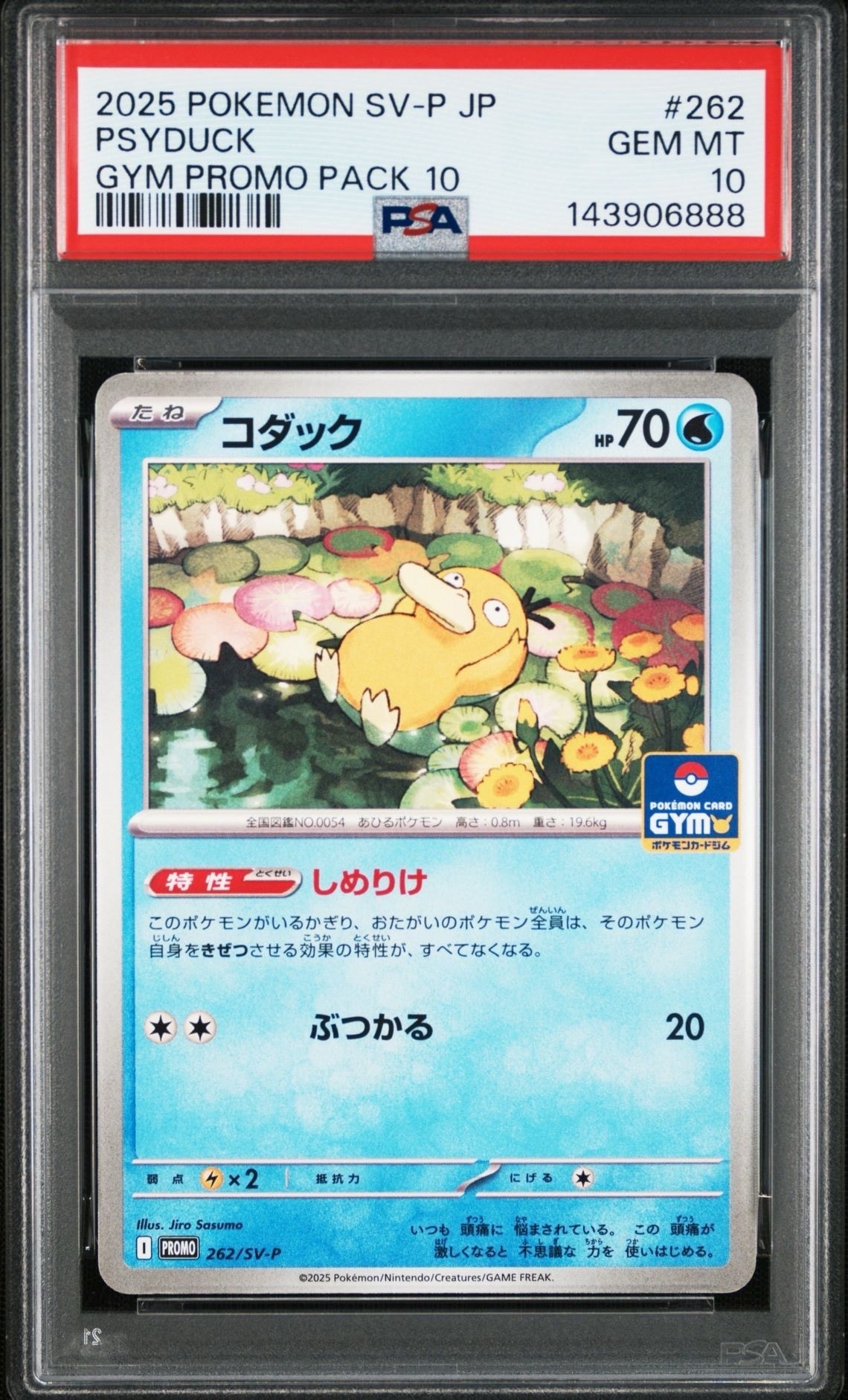 コダック P [SV-P 262](プロモカードパック「第10弾」)