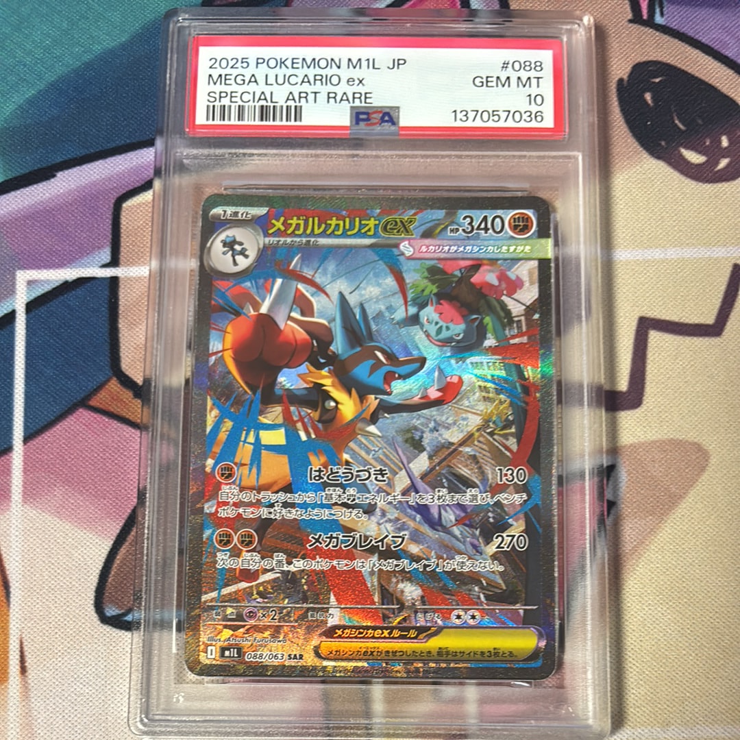 イーブイ&カビゴンGX: プロモ [SM-P 297](プロモーションカード「SM-P