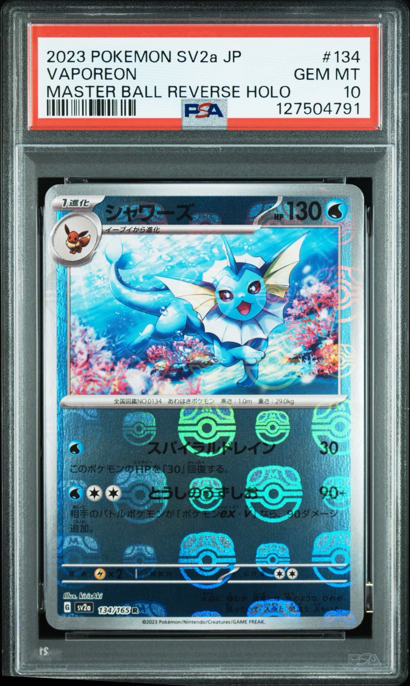 コダック: プロモ[XY-P](プロモーションカード「XY-P」)の新品/中古