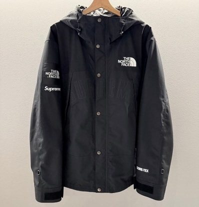 Supreme x The North Face Arc Logo Mountain Parka "Black" NP11901I / NF0A3VMM