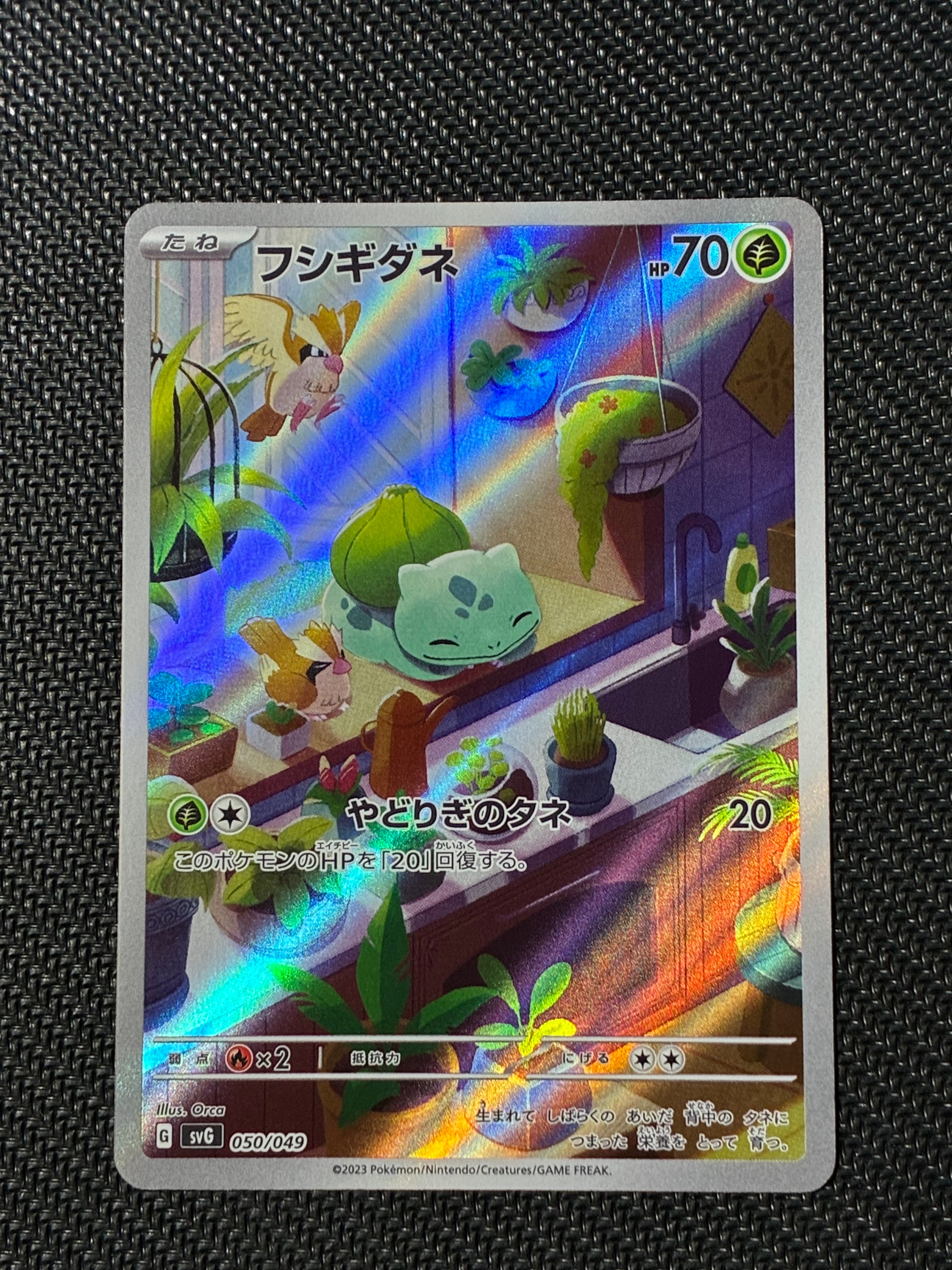 フシギダネ :フルイラスト [SVG 050/049](スペシャルデッキセットex「フシギバナ・リザードン・カメックス」)