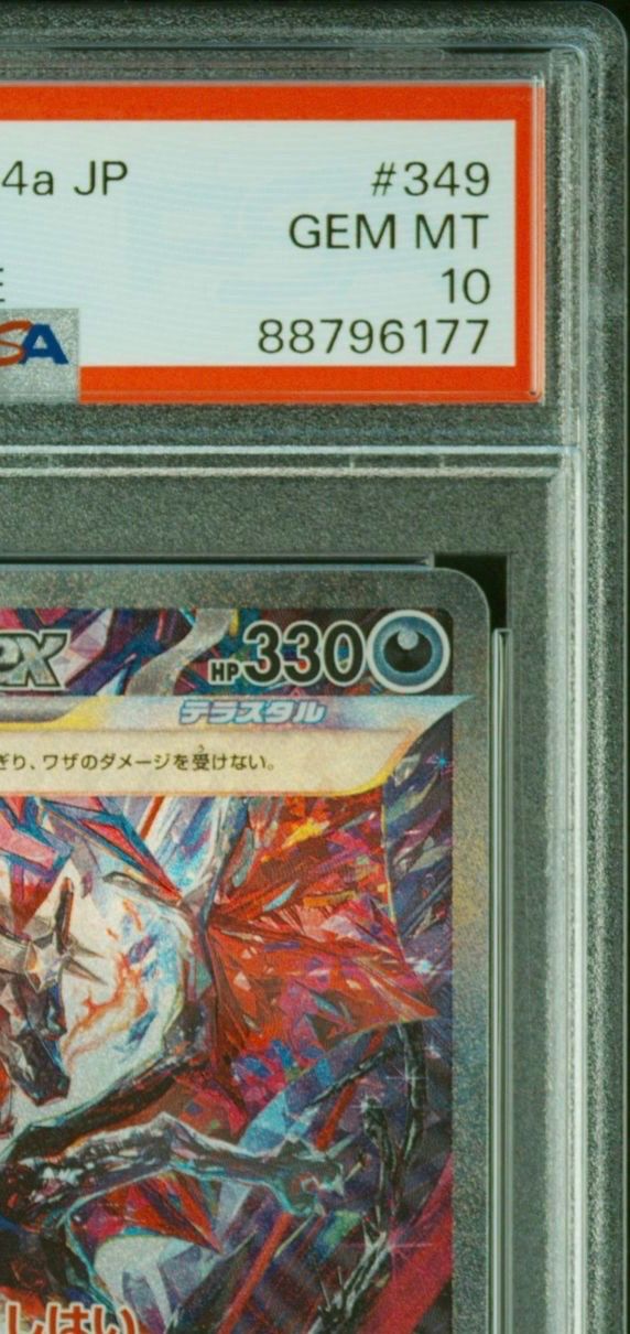 PSA10キバナSAR PSA10】キバナ(SAR) s12a 237/172 | beans hobby【ビーンズホビー】