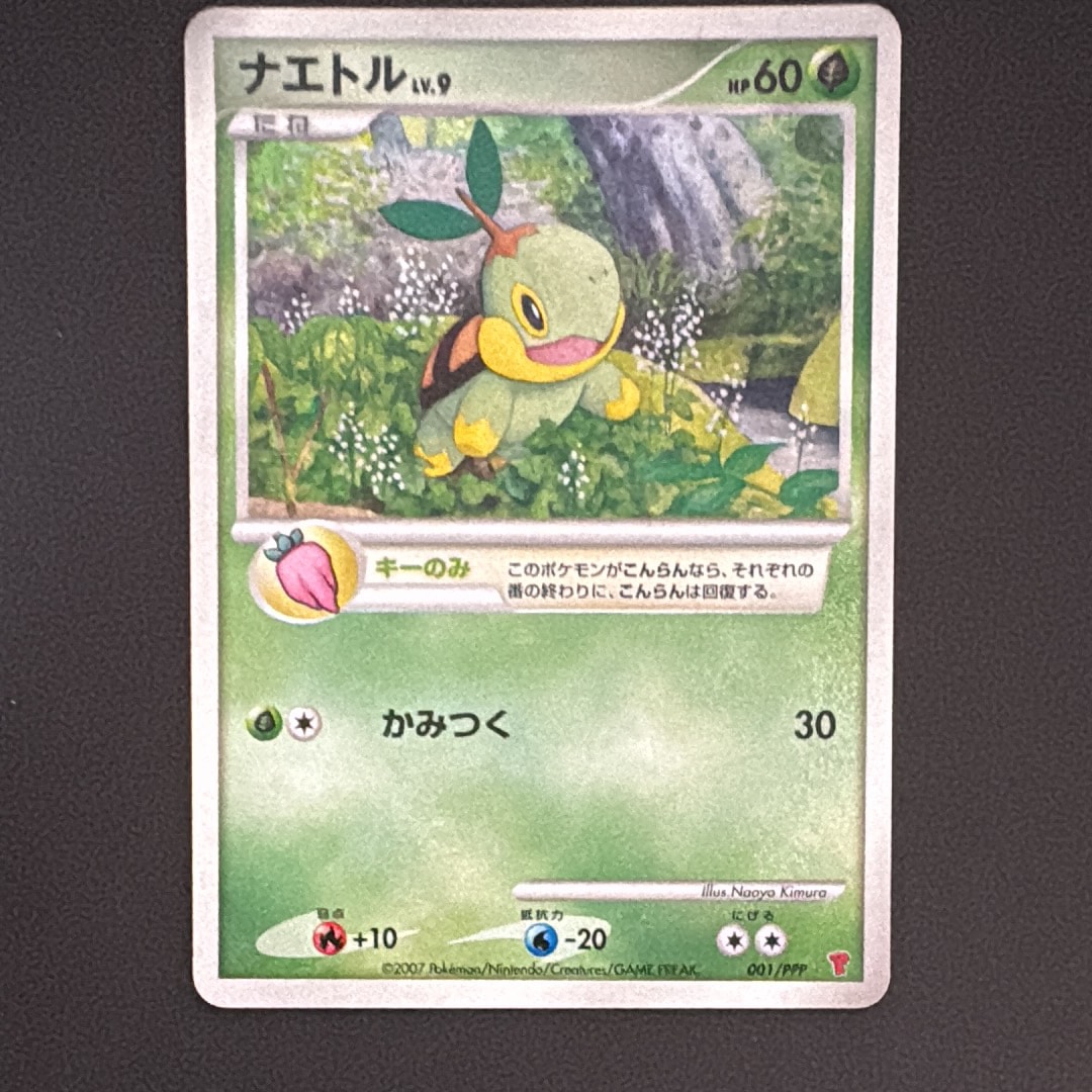 PSA10】ナエトル [PPP 001](プロモーションカード「第5期プレイヤーズ