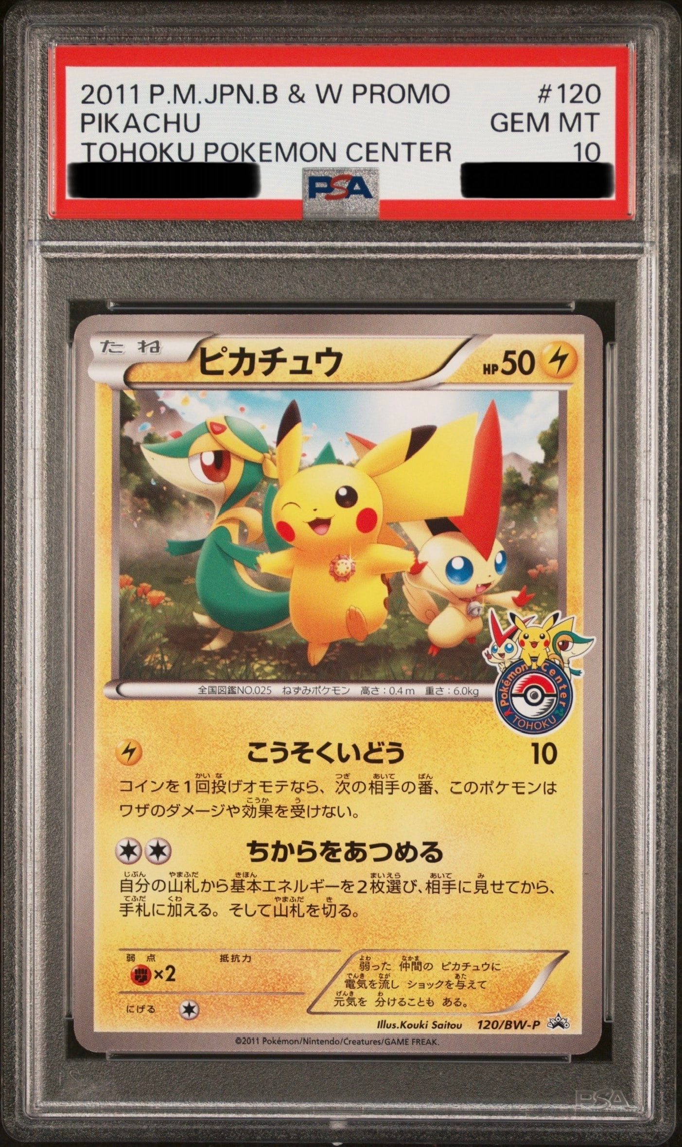 ピカチュウ P [BW-P 120/BW-P](プロモーションカード「ポケモンセンタートウホク オープン記念プレゼント」)