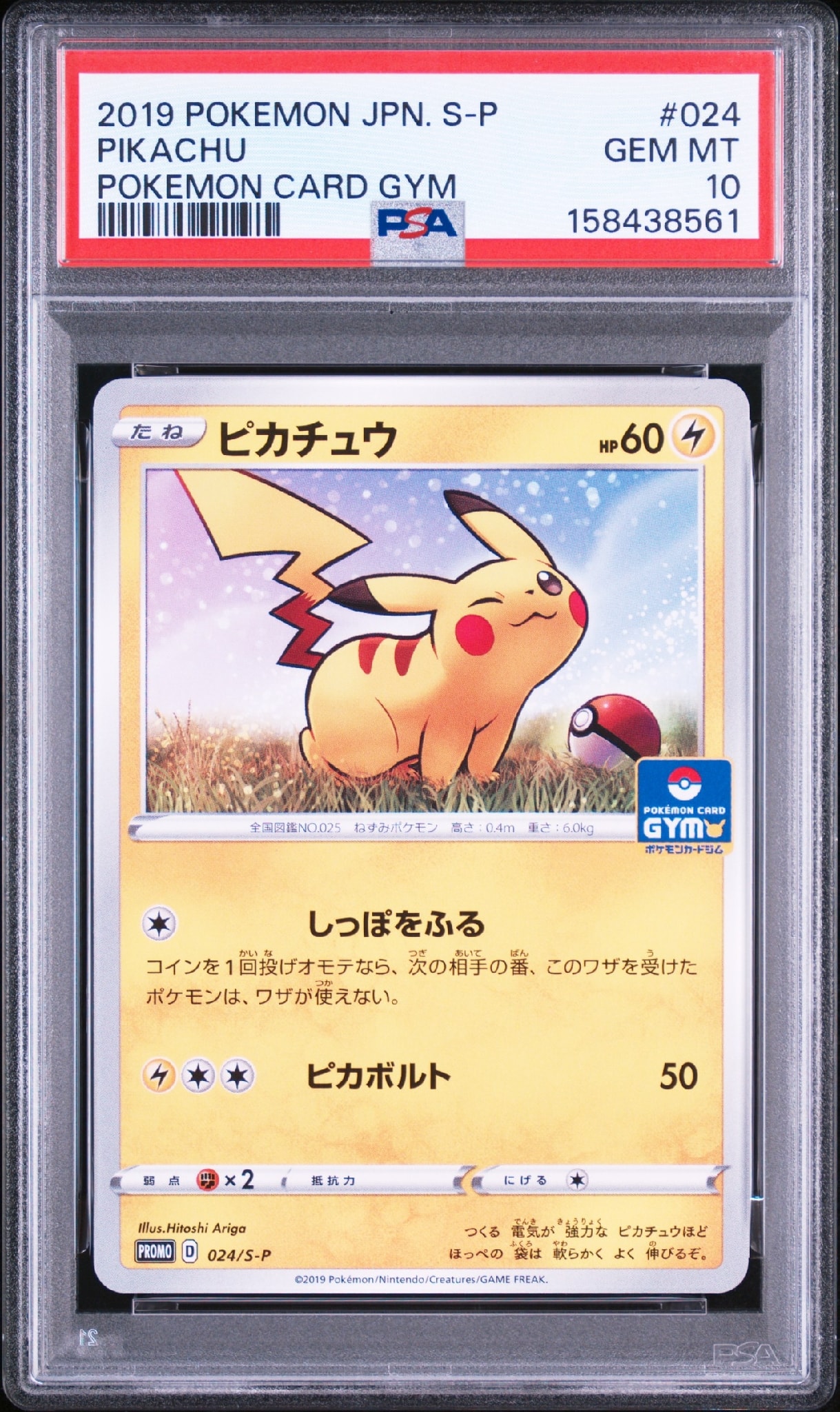 ピカチュウ: プロモ P [S-P 024](ポケモンカードゲーム ソード