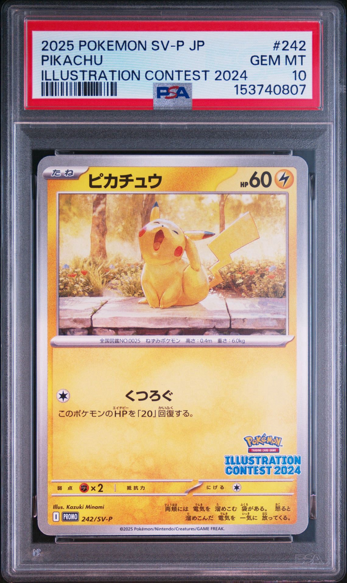 ピカチュウ [SV-P 242](プロモカードパック「イラストレーション