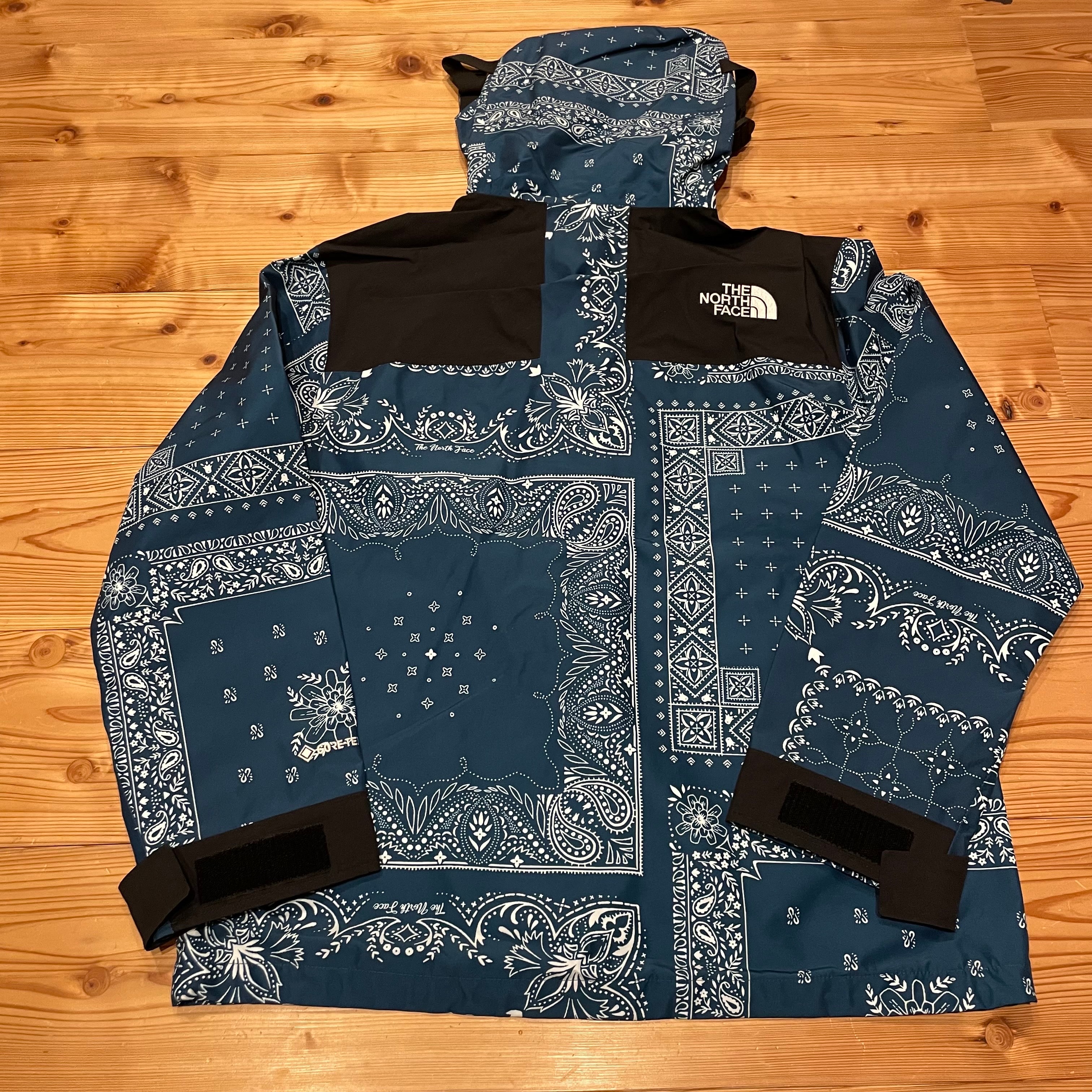 The North Face NOVELTY GTX MOUNTAIN JACKET "Peacock Blue"