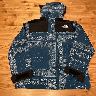 The North Face NOVELTY GTX MOUNTAIN JACKET "Peacock Blue"